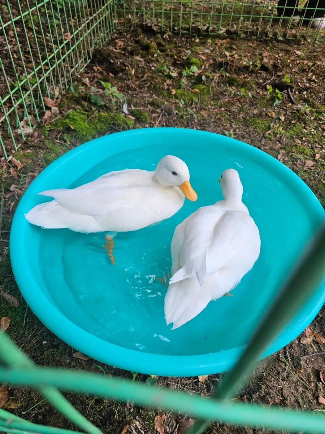 Property building in La Vie Dor Hotel and Resort, Trademark Collection by Wyndham