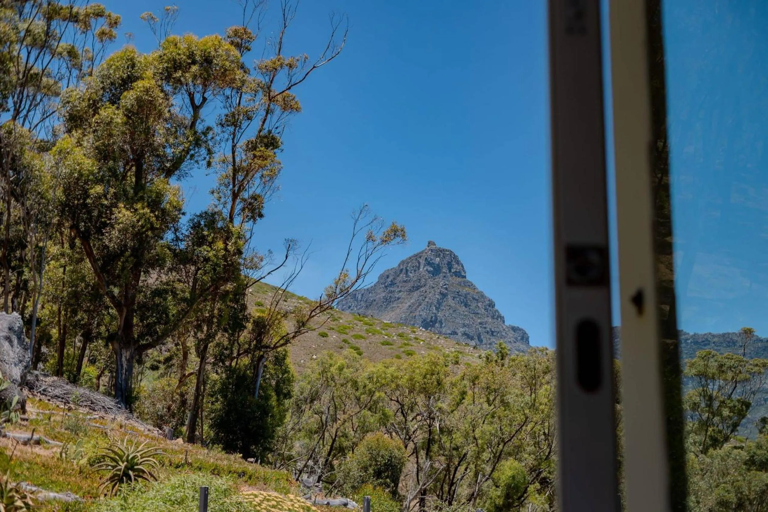 Natural landscape in 21 Nettleton Boutique Hotel & Luxury Residence