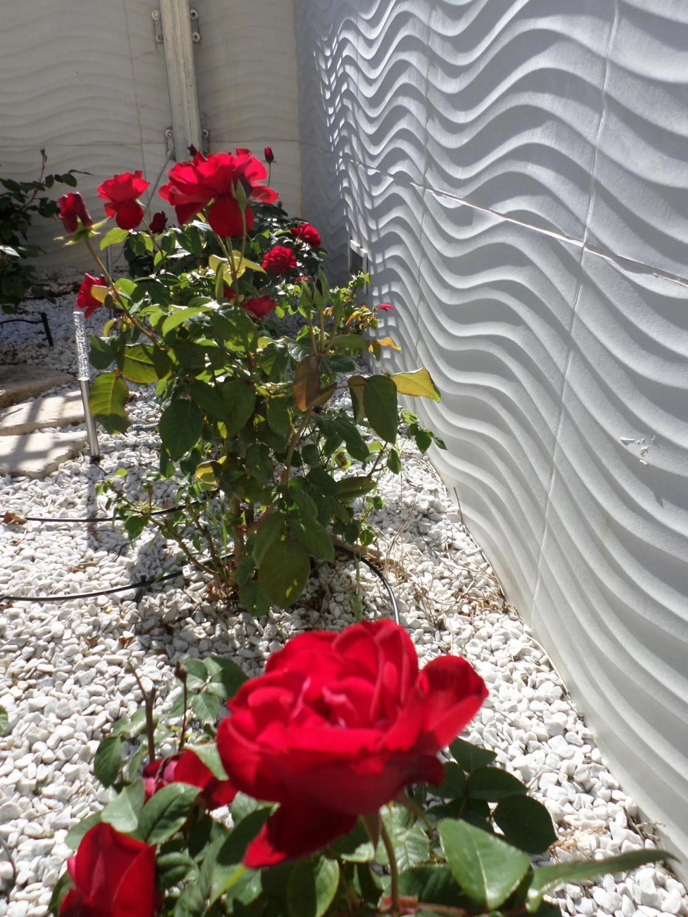 Day in H5-5H Luxury Room