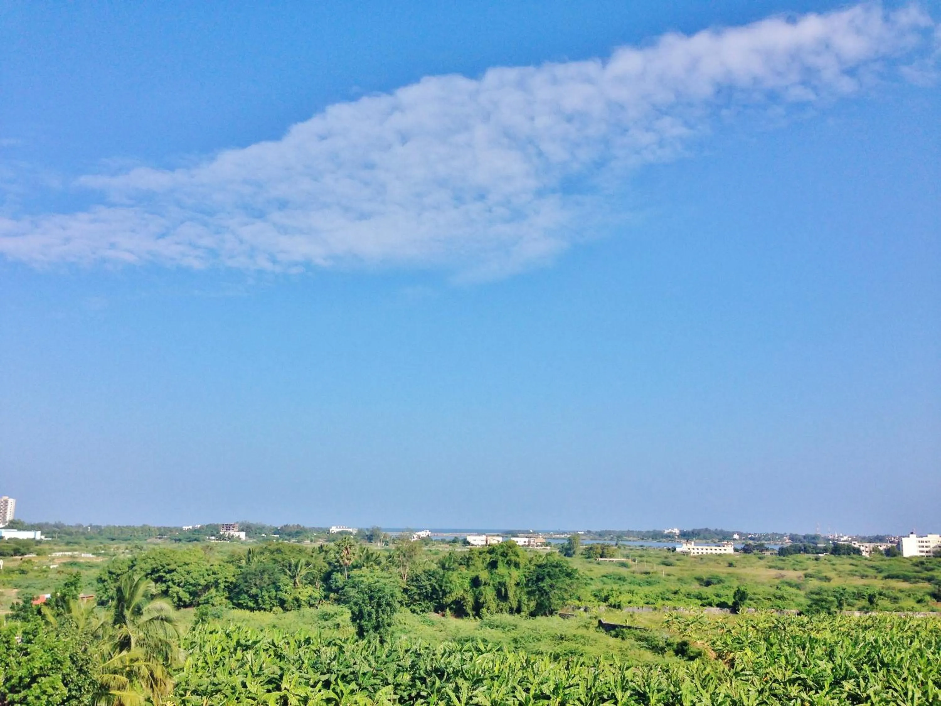 Lake view in Days Hotel by Wyndham Chennai OMR