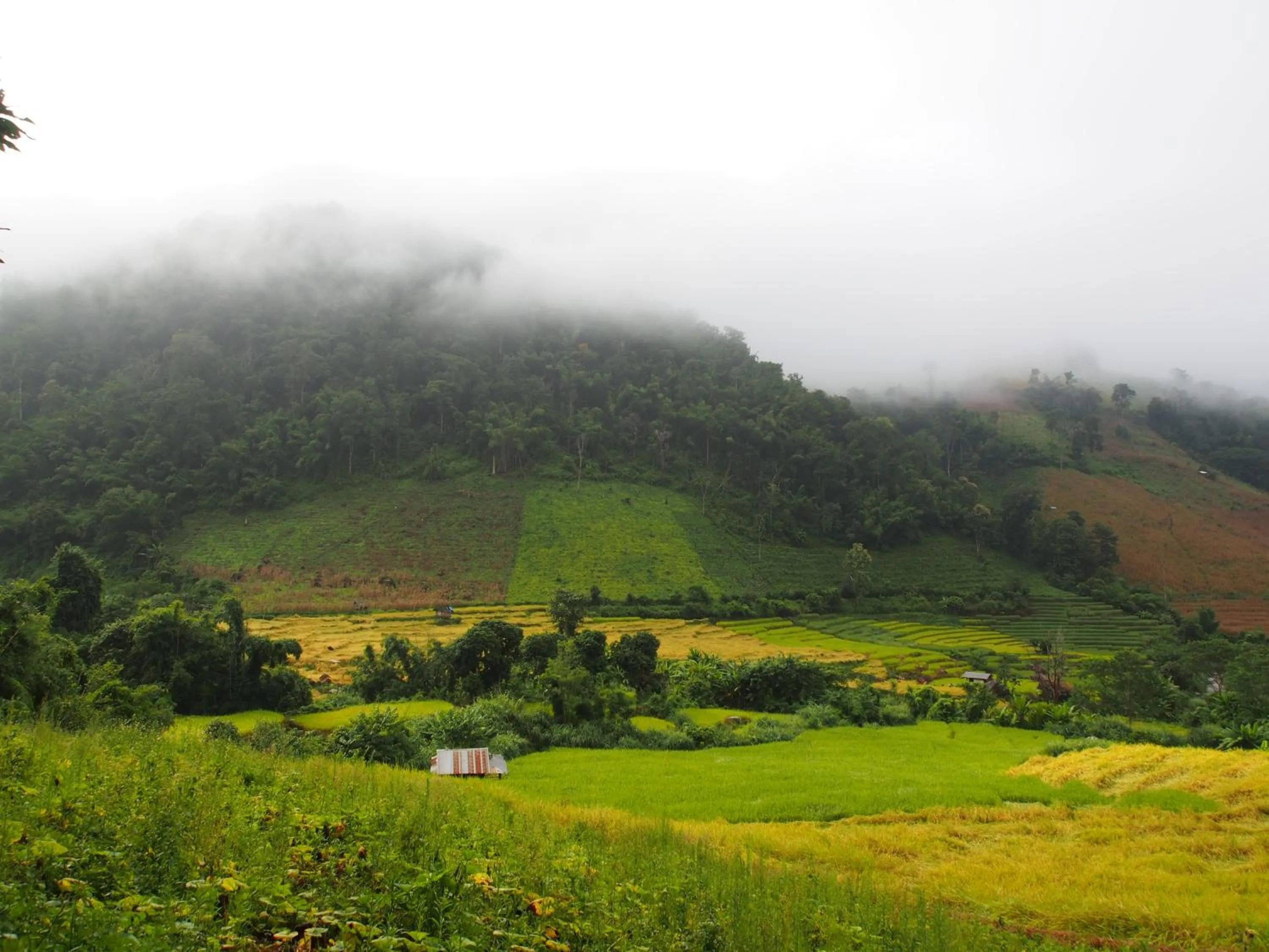 On site in KowitFarmstay