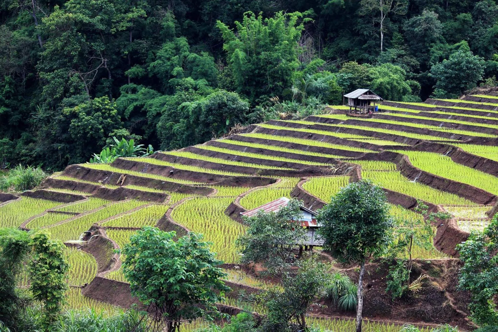 Decorative detail in KowitFarmstay