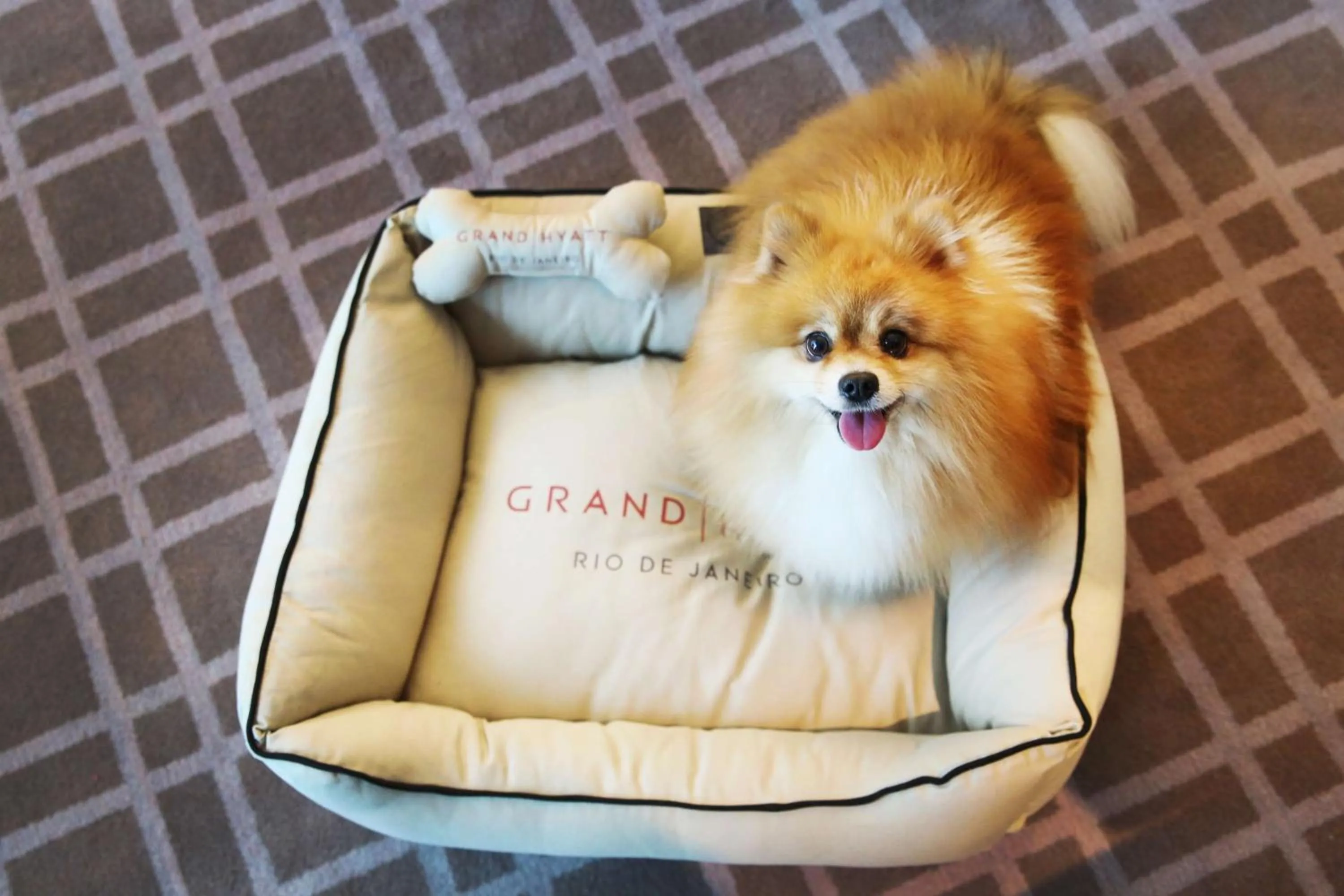 Bedroom in Grand Hyatt Rio de Janeiro