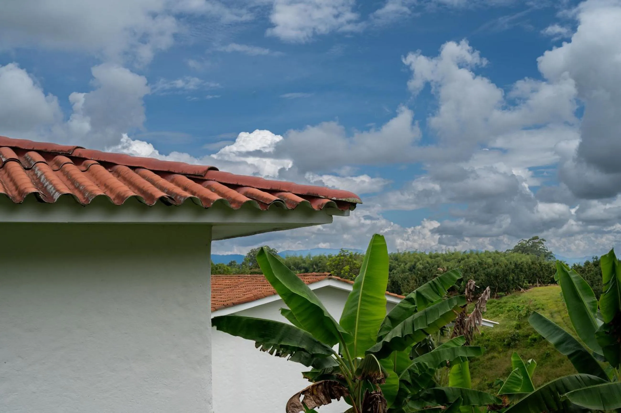 Day in Hotel Campestre Montecarlo