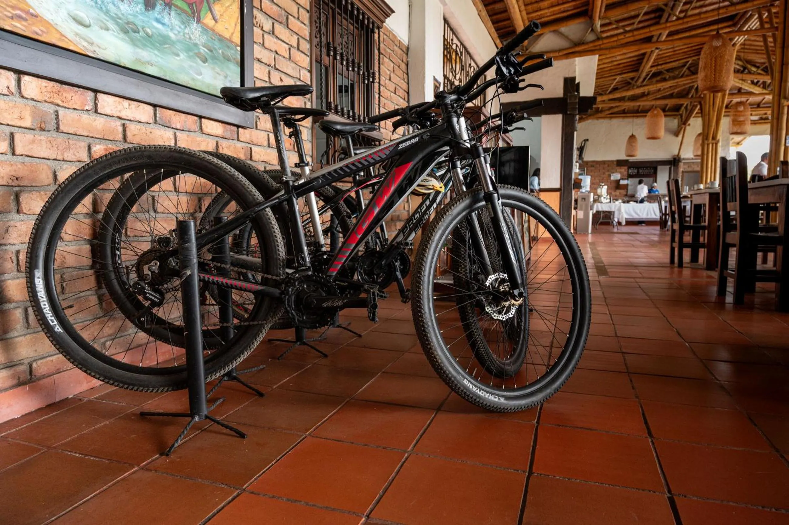 Cycling in Hotel Campestre Montecarlo