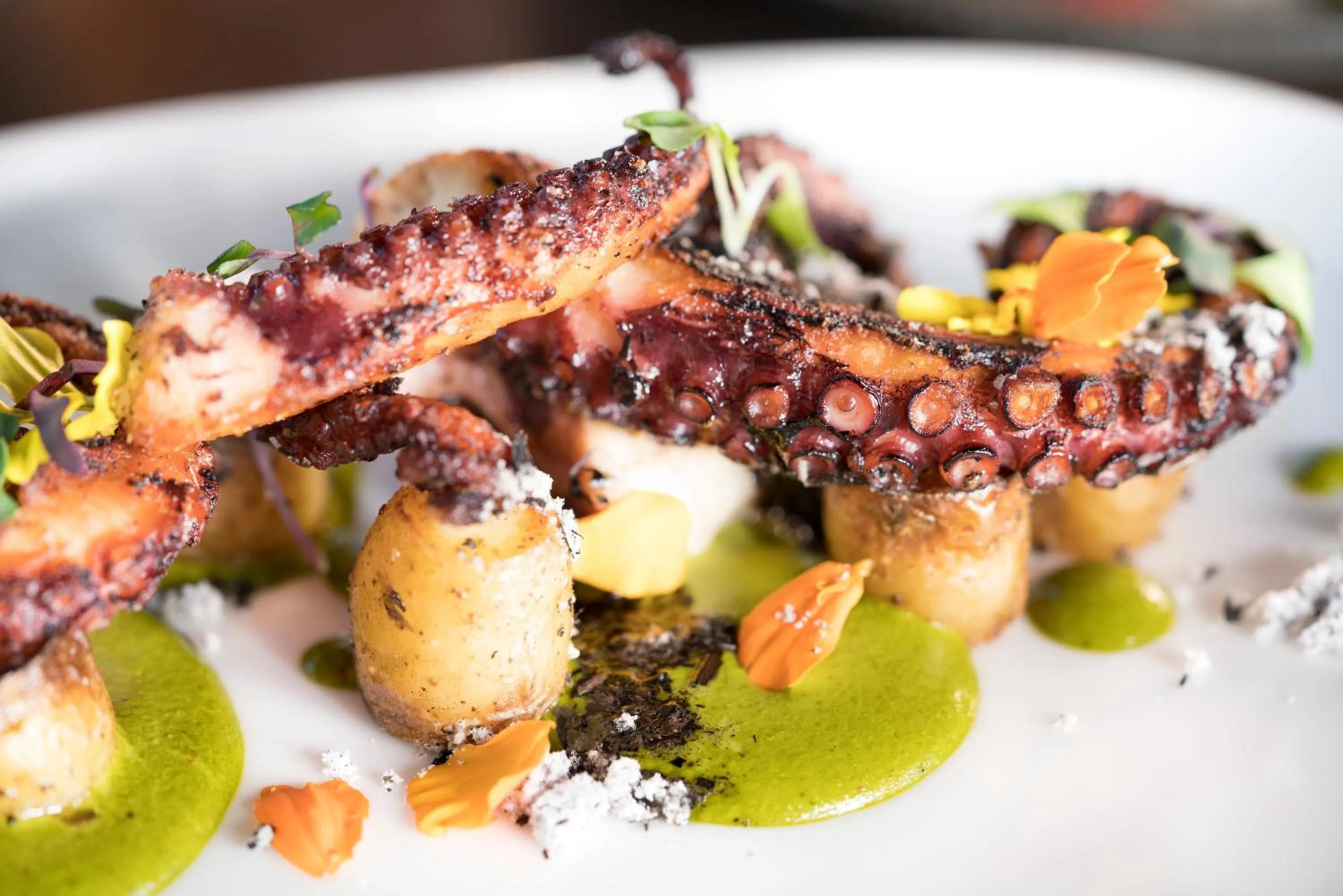 Restaurant/places to eat in Kimpton Gray Hotel Chicago by IHG