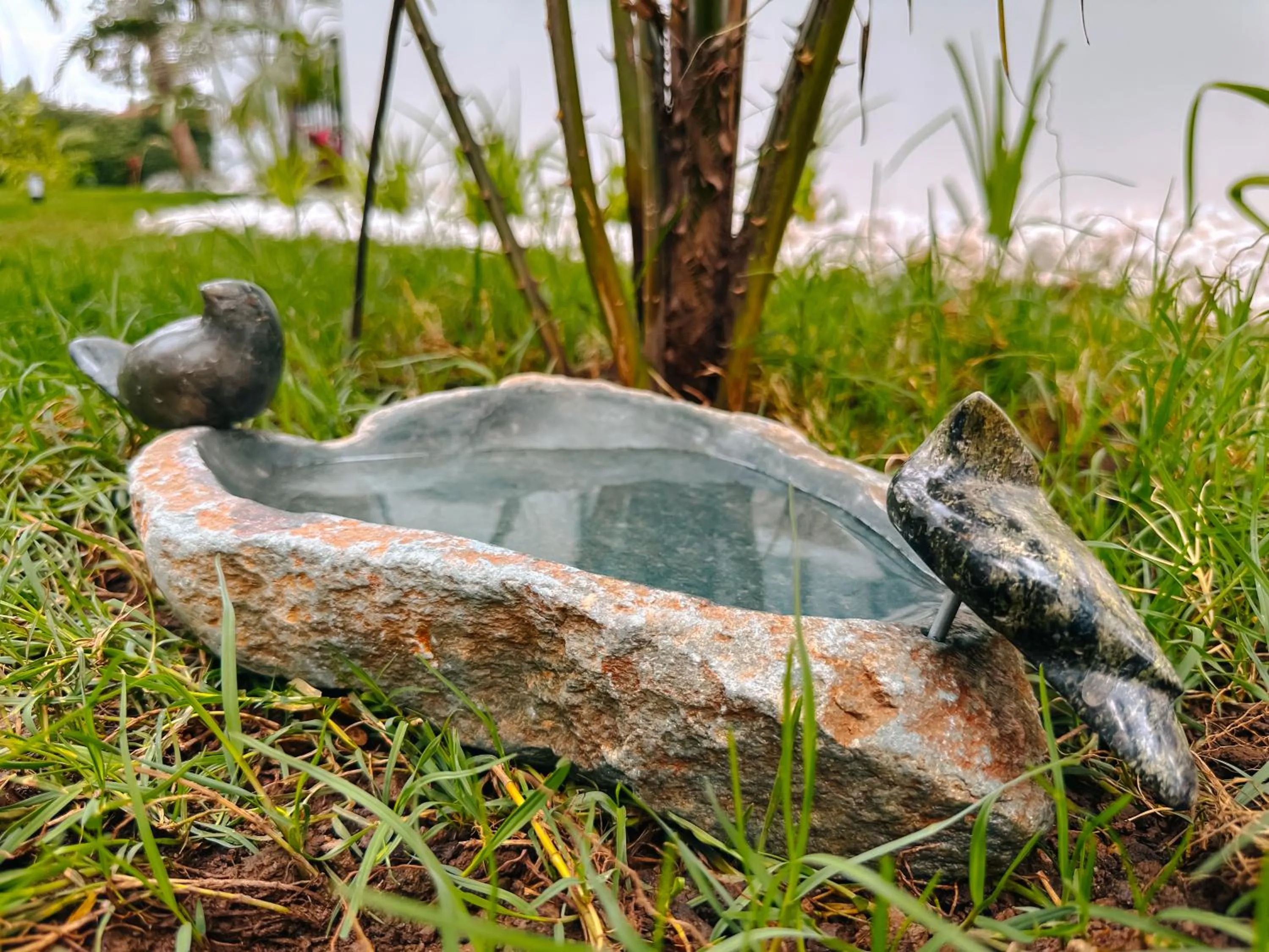 Garden in Brubru Lodge