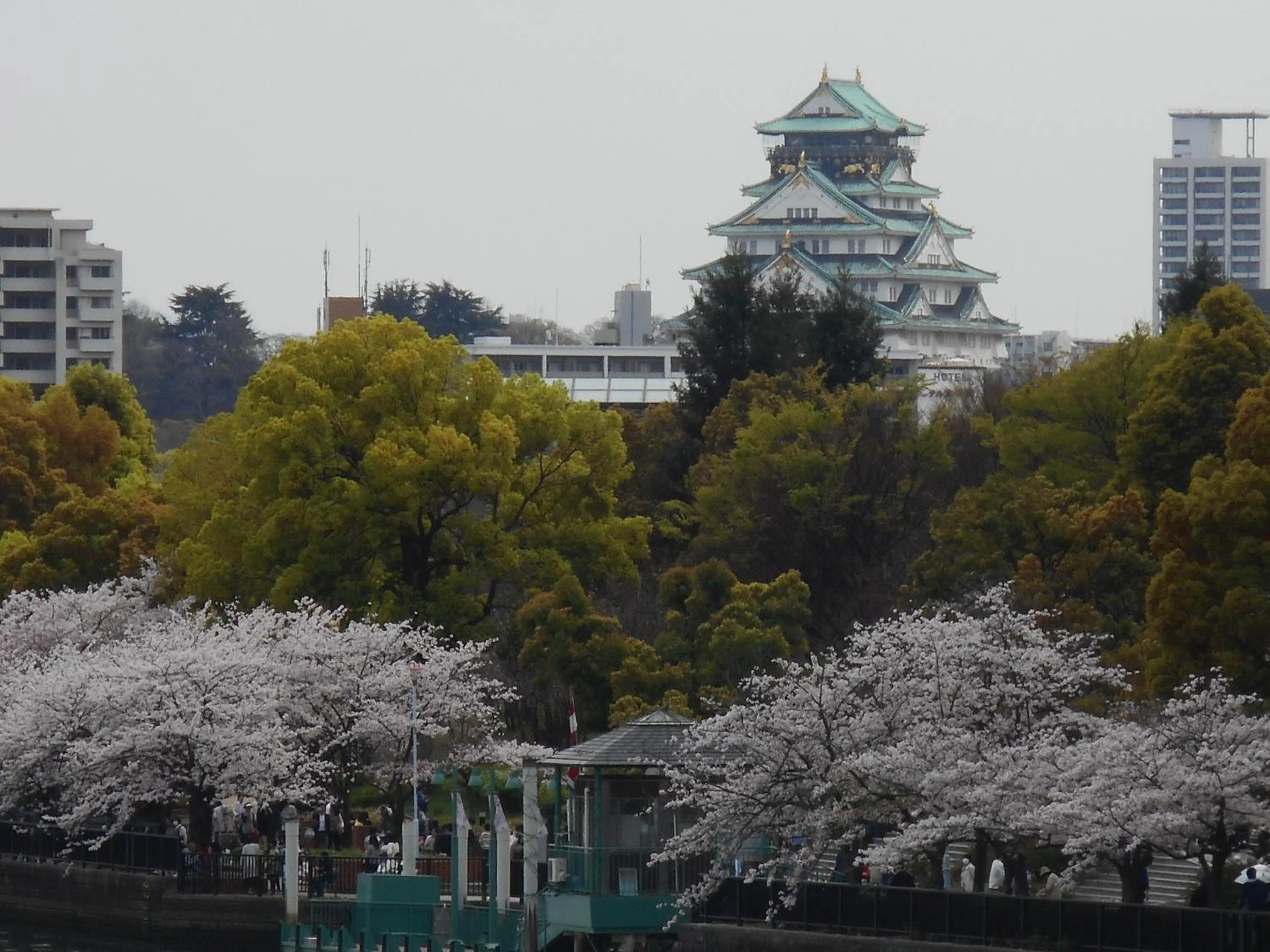 Off site in Sakura Garden Hotel