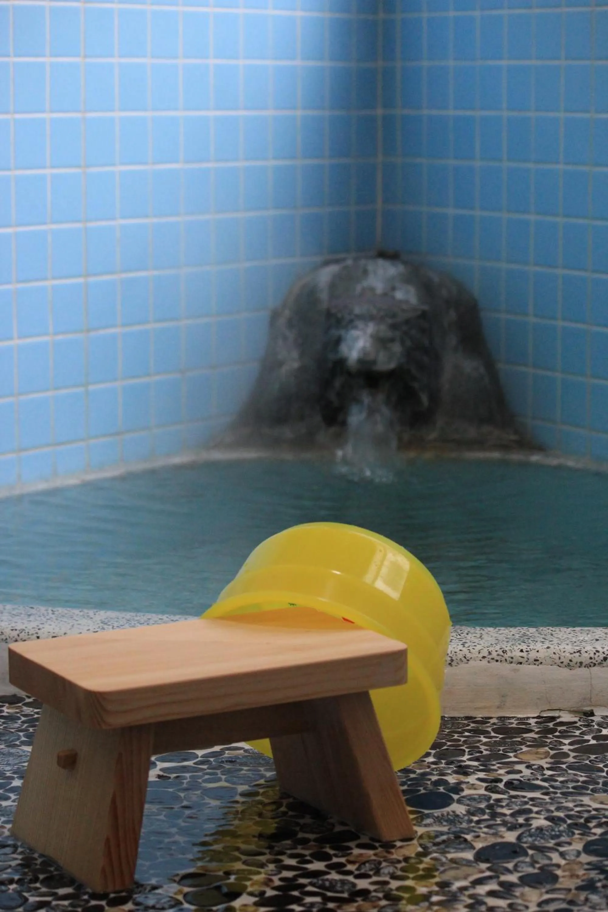 Other in Nozawa Dream