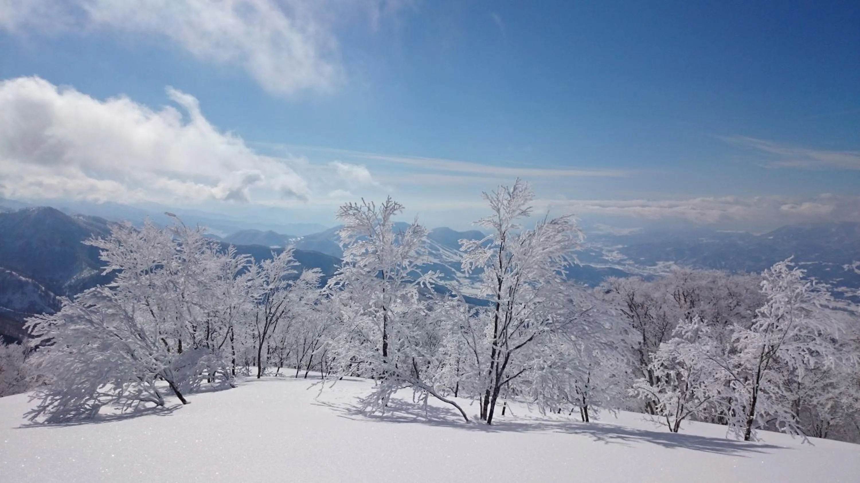Off site in Nozawa Dream