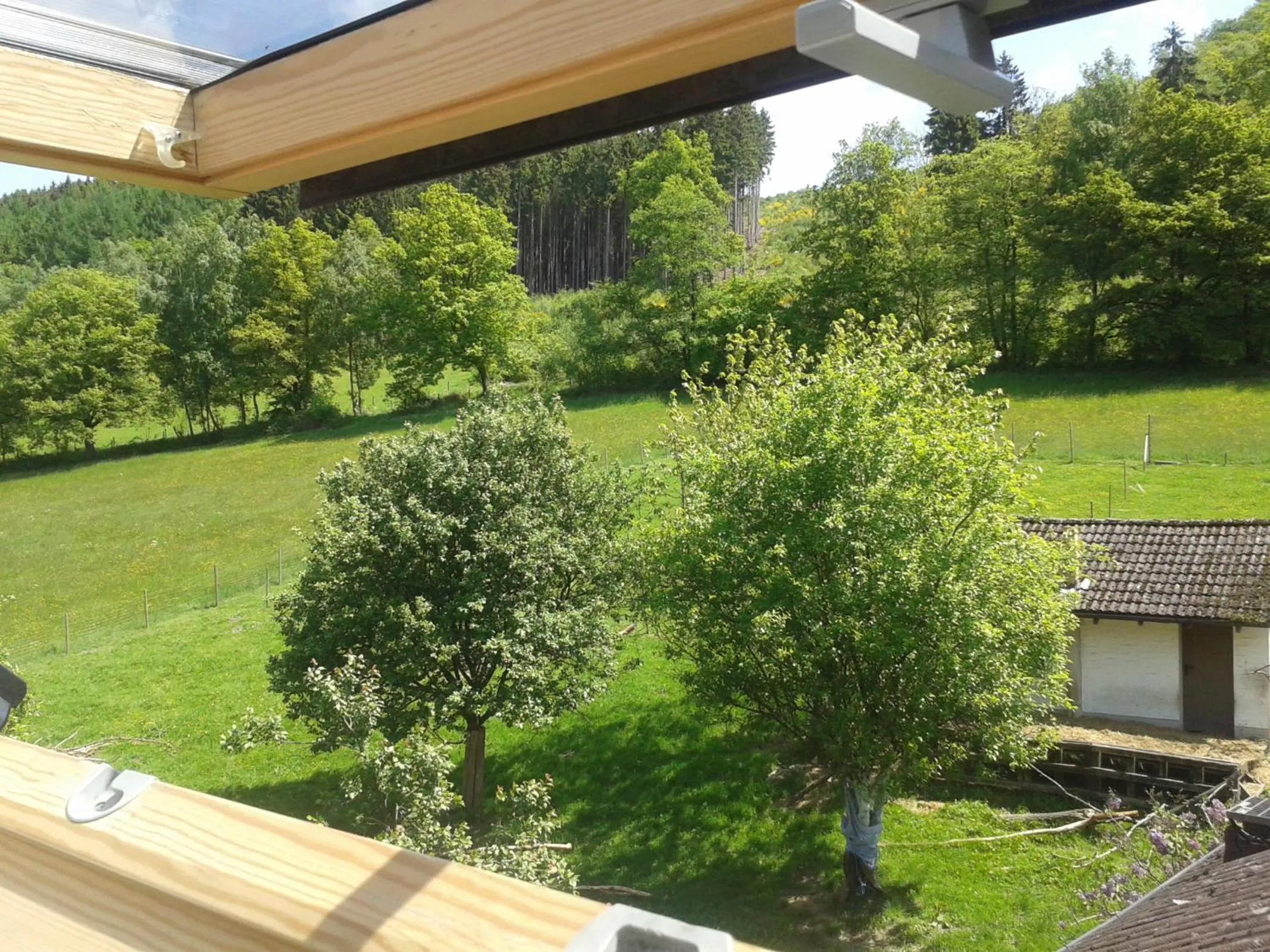 Summer in Hotel Klinger