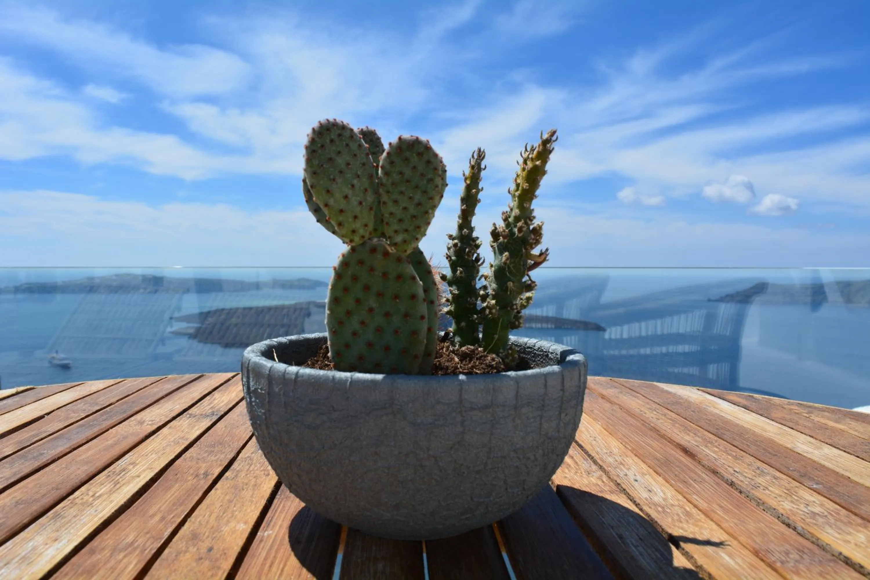 Other in Cocoon Suites