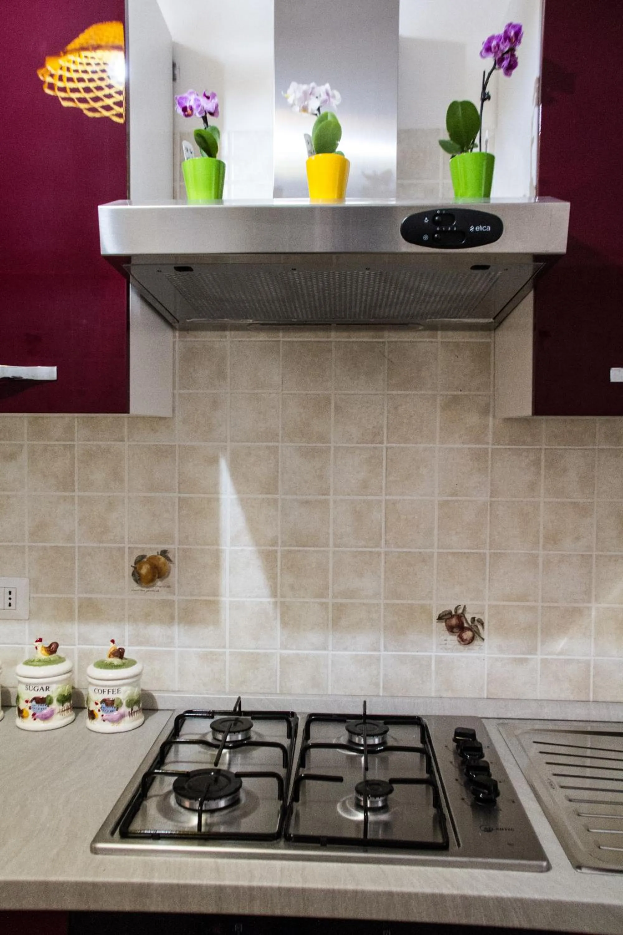 Decorative detail in Domus Romae