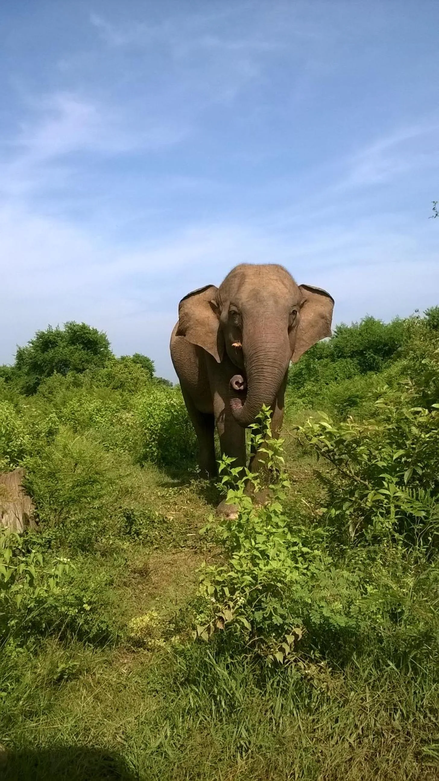 Day in Private Organic House