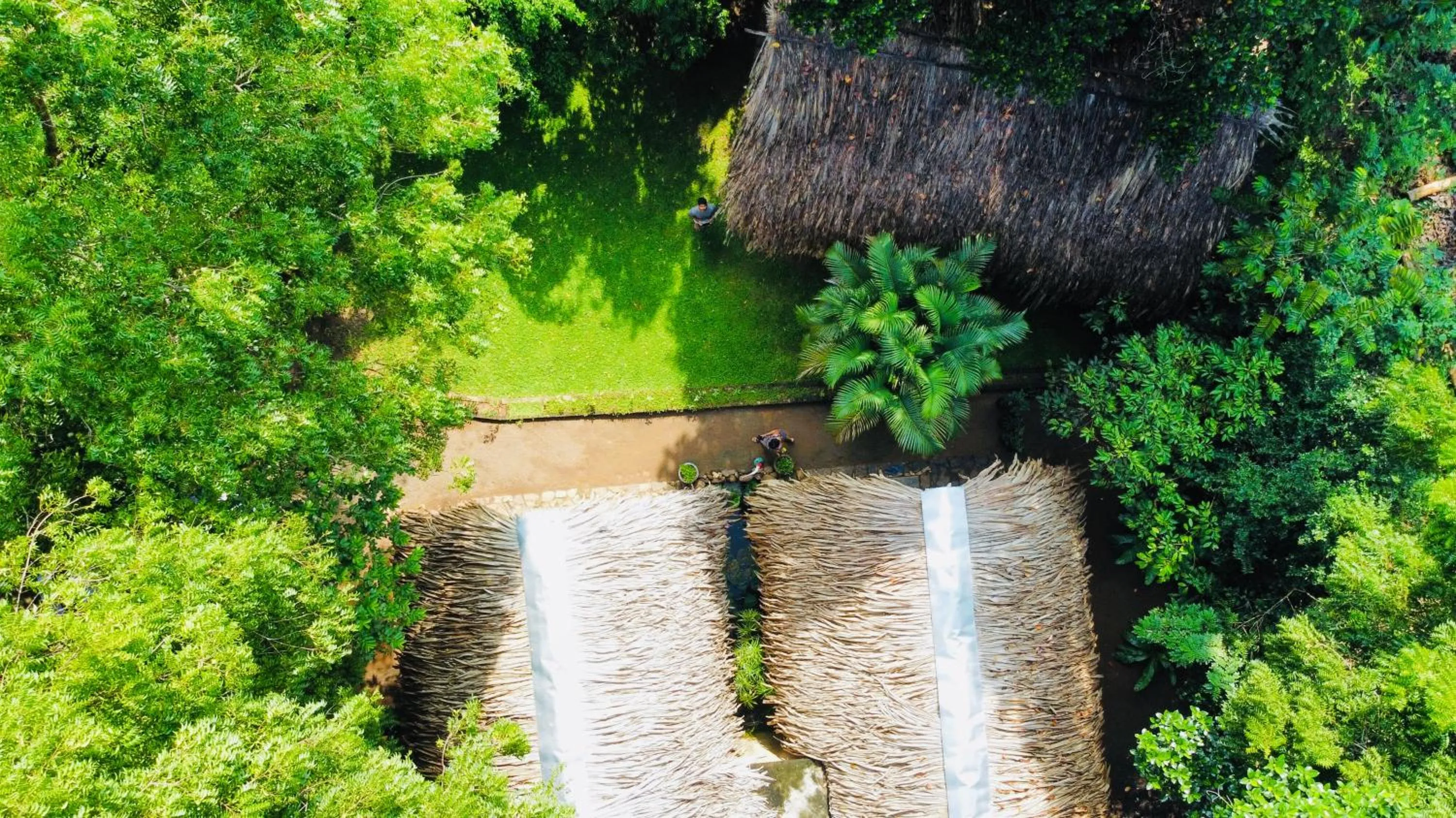 Private Organic House