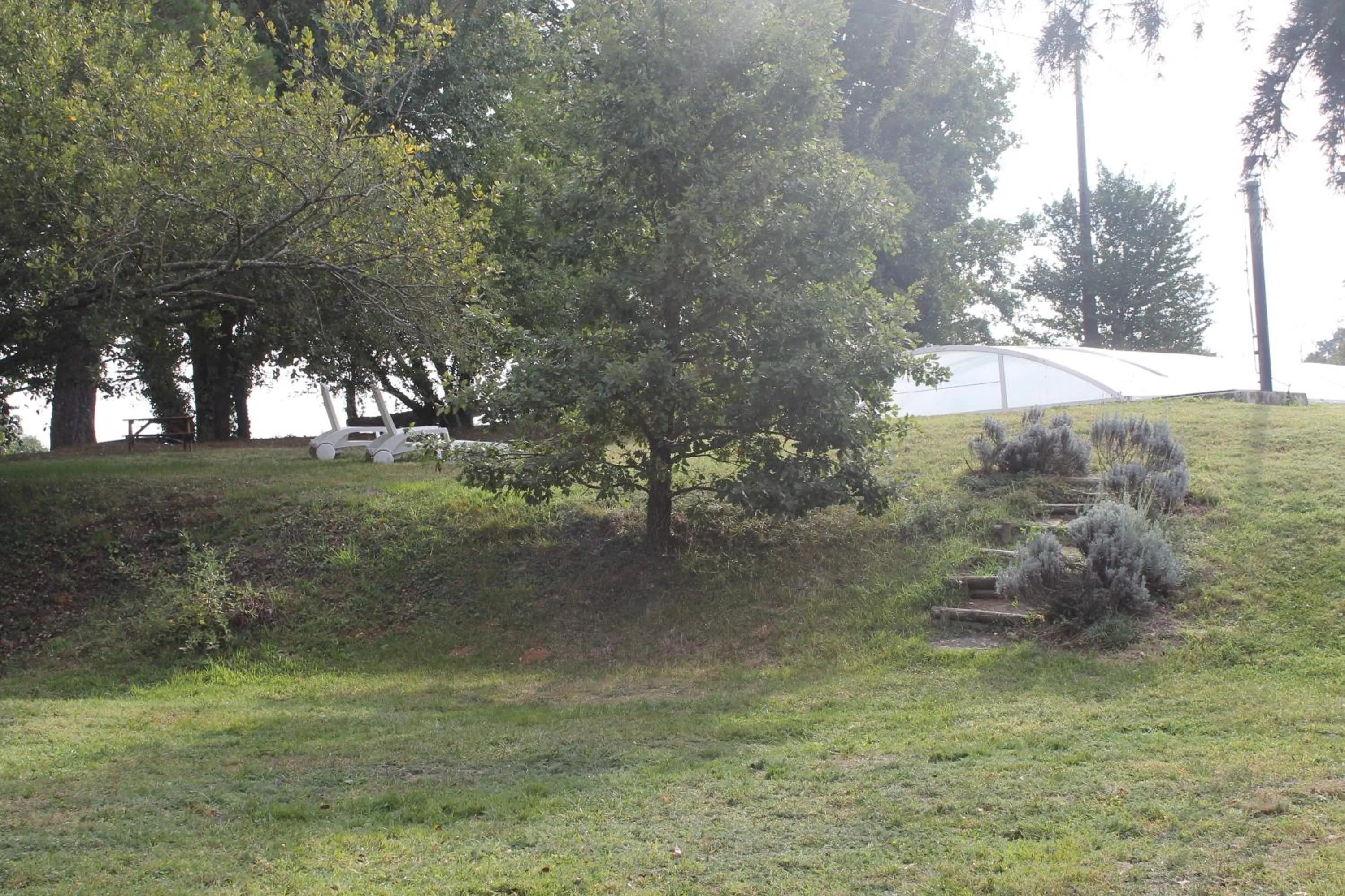 Garden in Les Chambres d'Hôtes du Rouyre