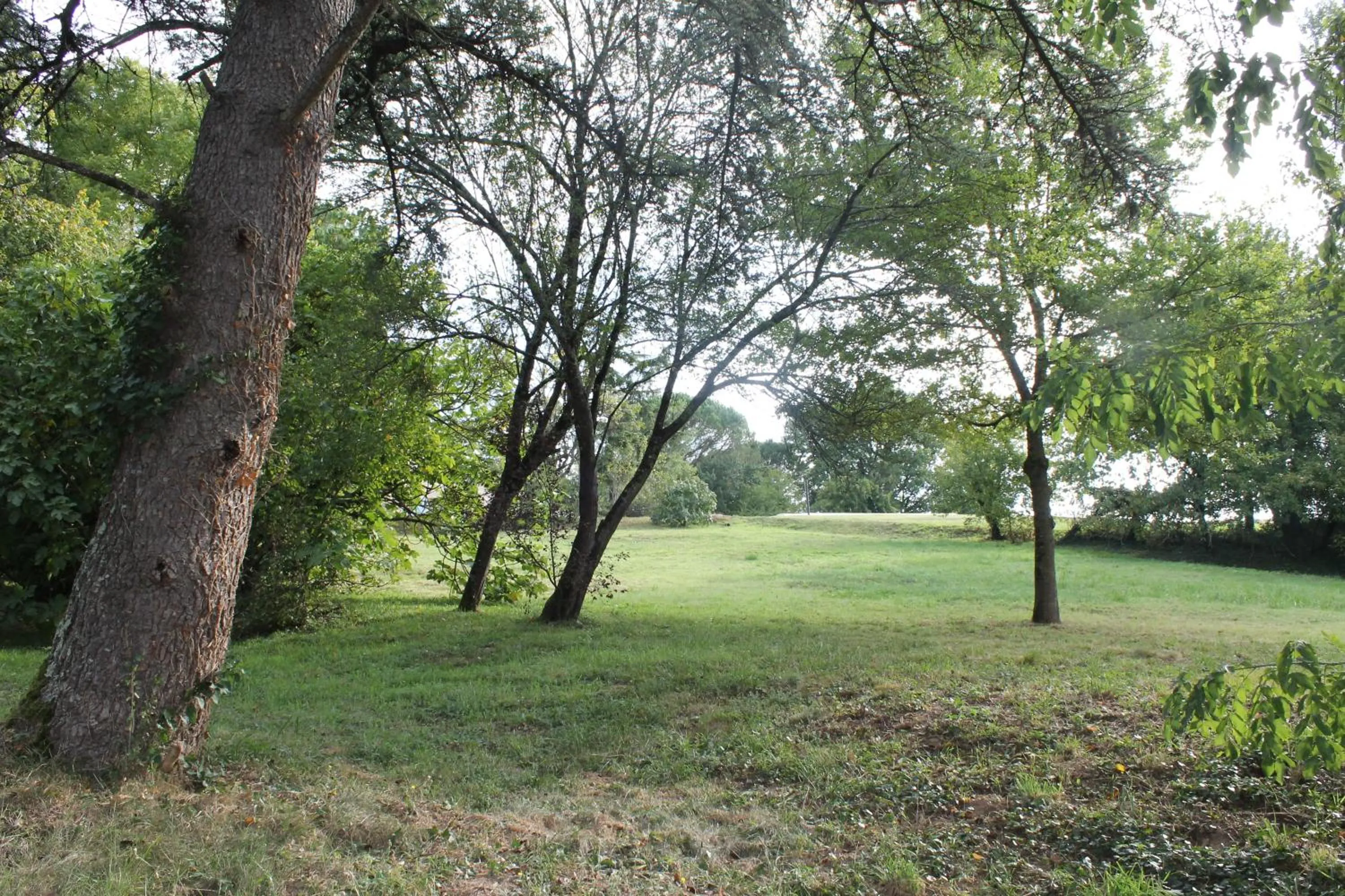 Garden in Les Chambres d'Hôtes du Rouyre
