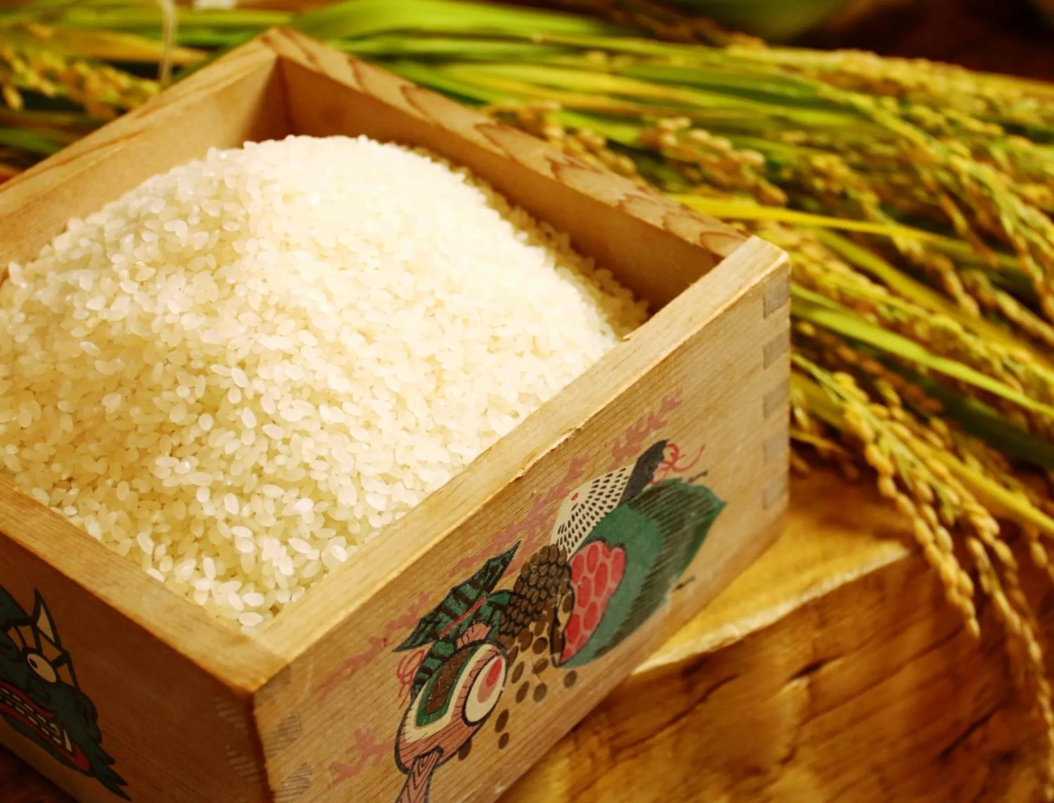 Food in Hakuba Tsugaike Sunrise Tanne