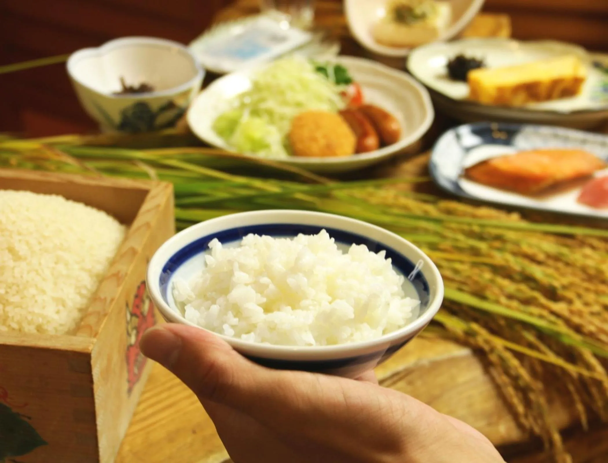 Asian breakfast in Hakuba Tsugaike Sunrise Tanne