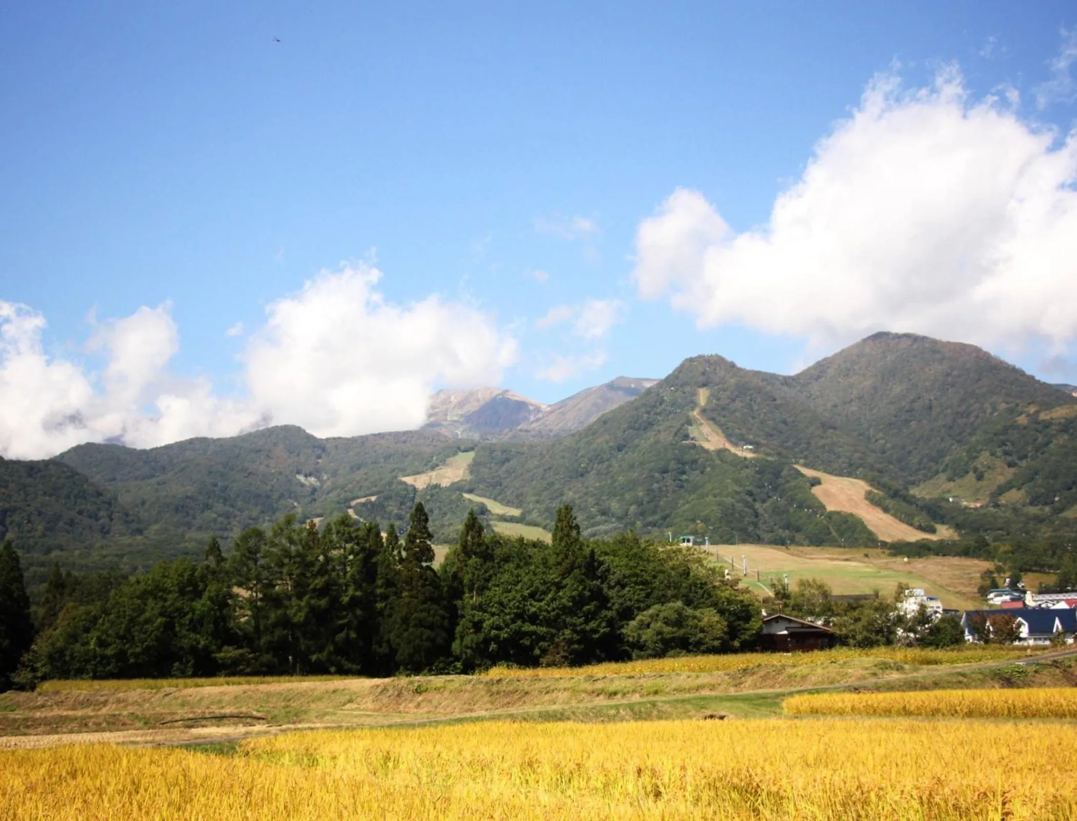 Neighbourhood in Hakuba Tsugaike Sunrise Tanne
