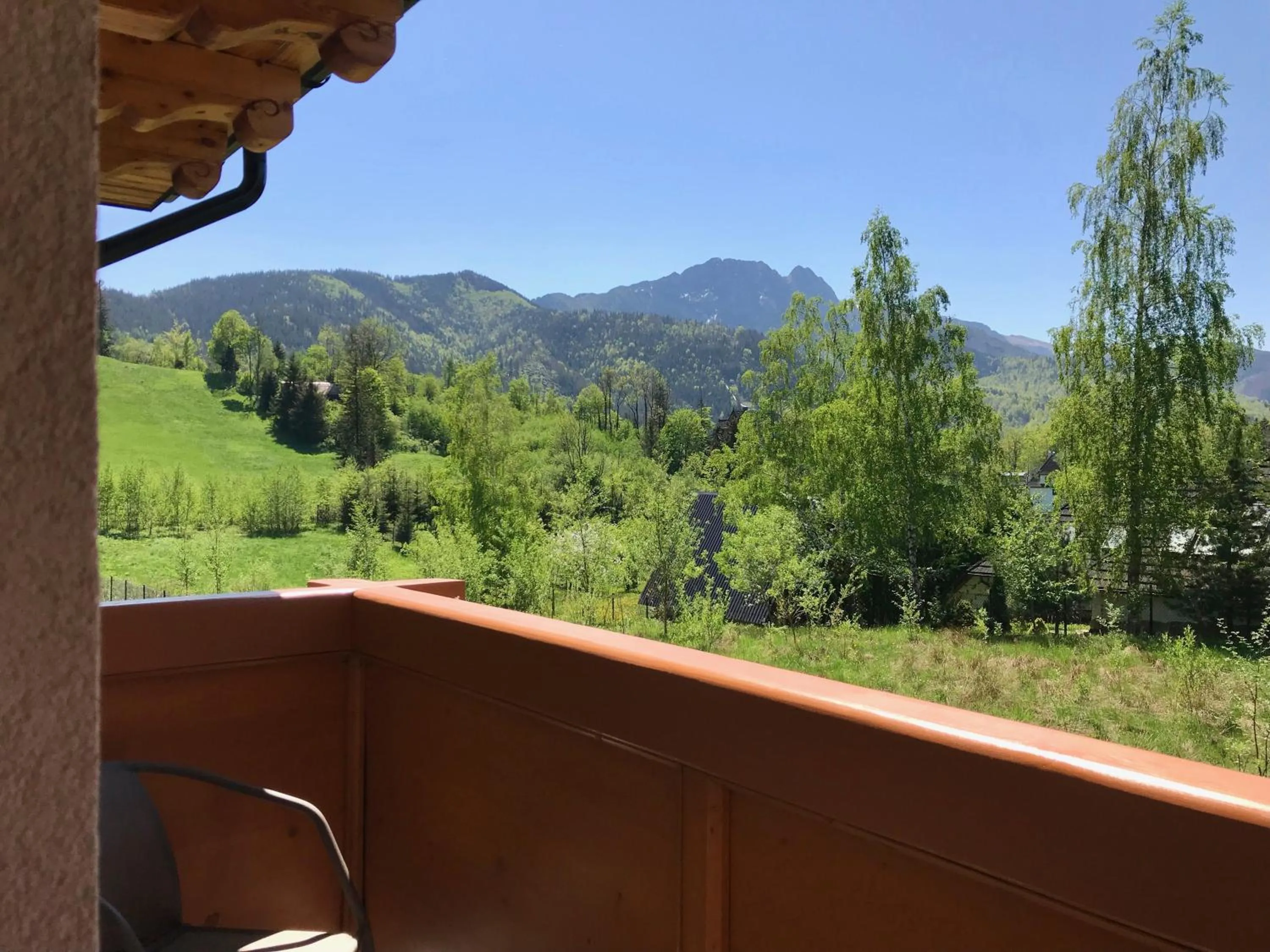 Day in Willa Wisienka