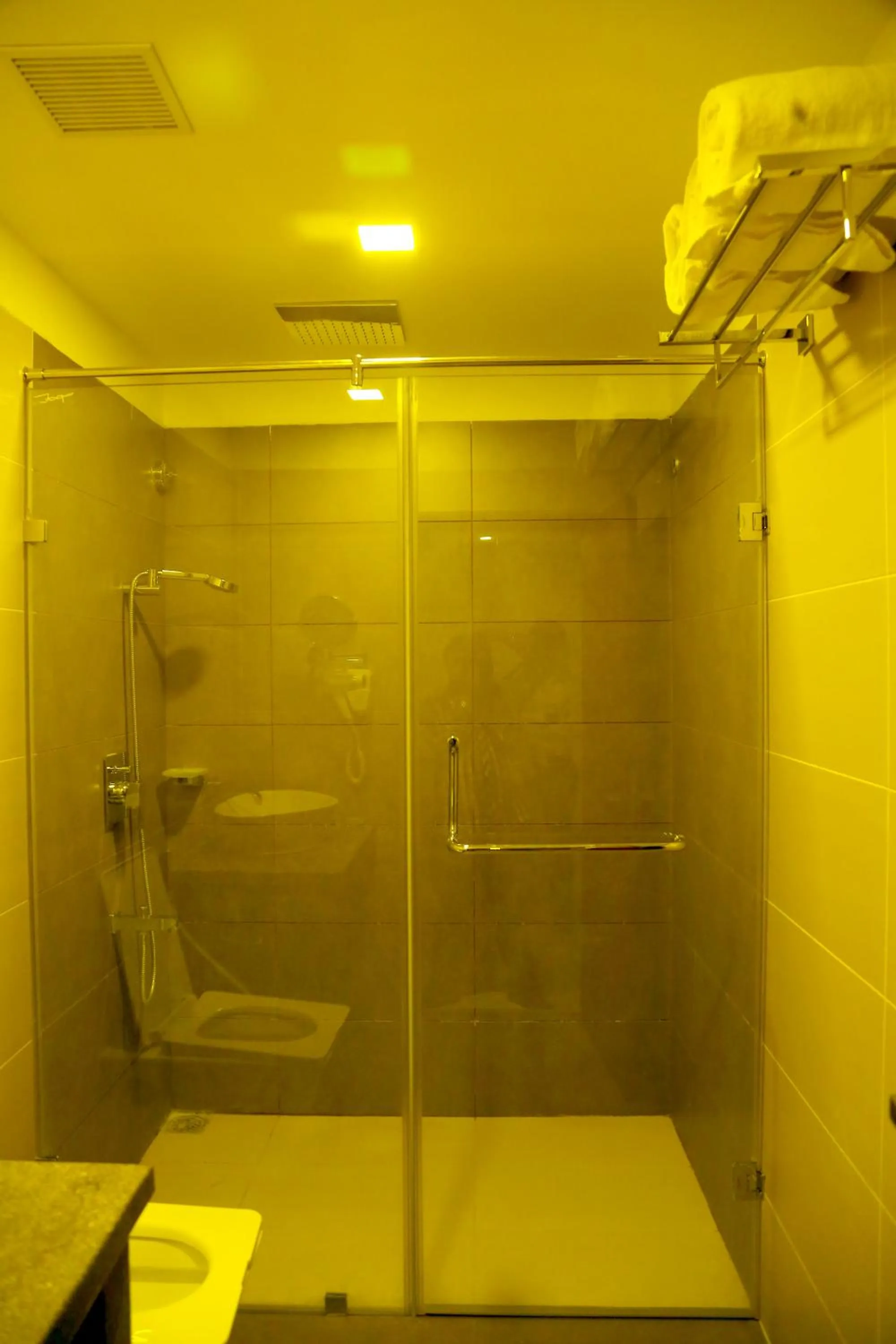 Shower in Hotel Park N
