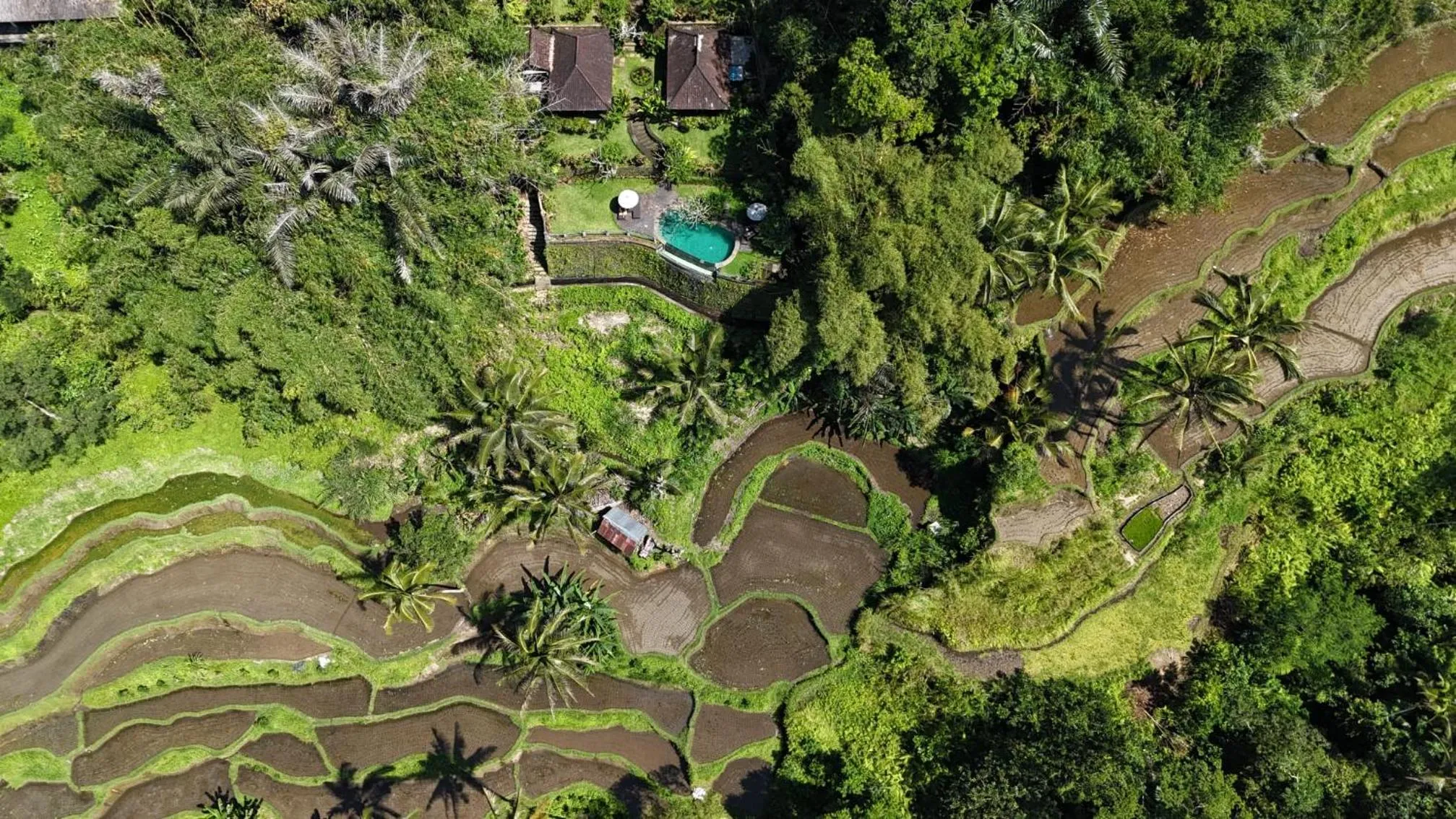 Natural landscape in Villa Wedang