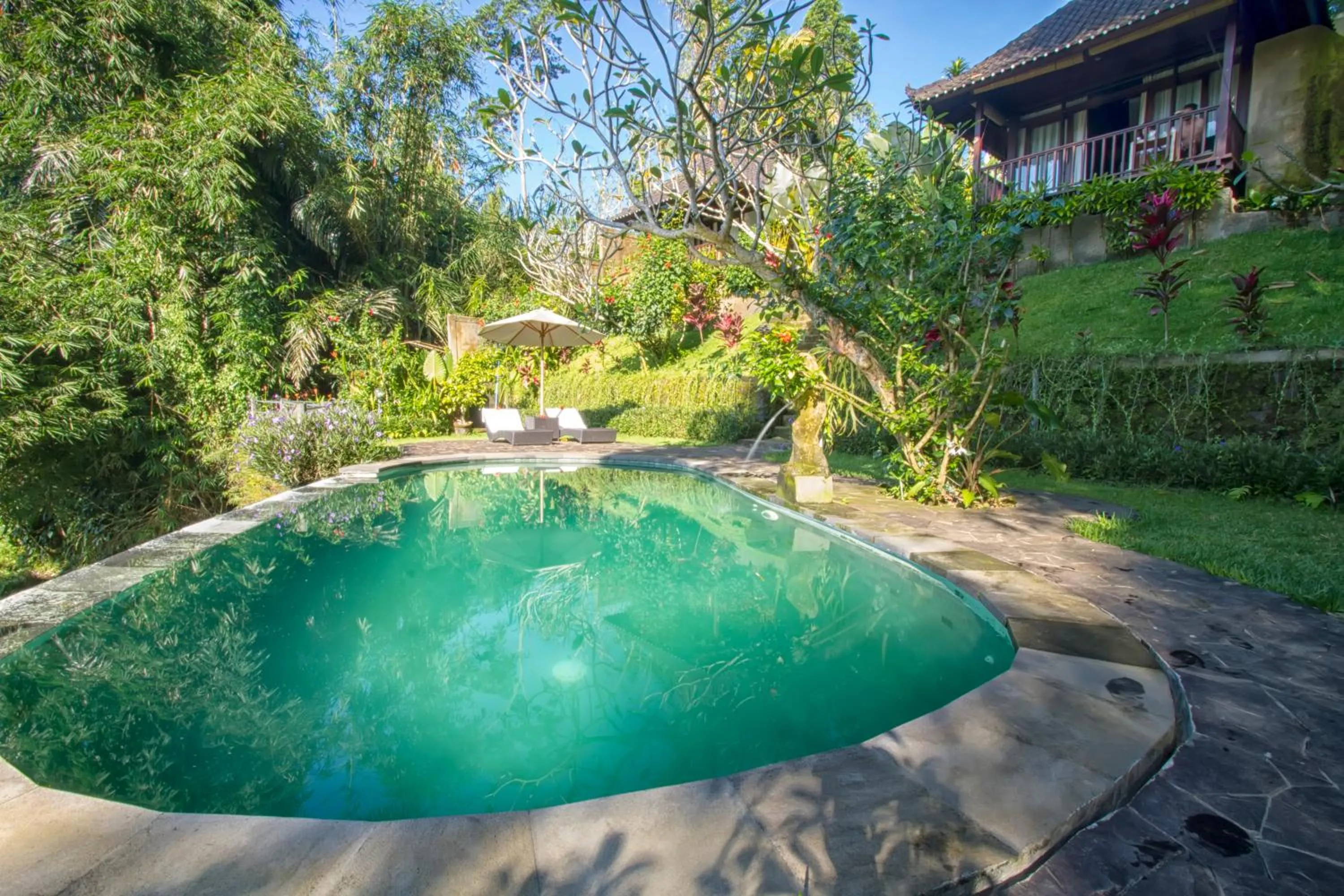 Swimming pool in Villa Wedang