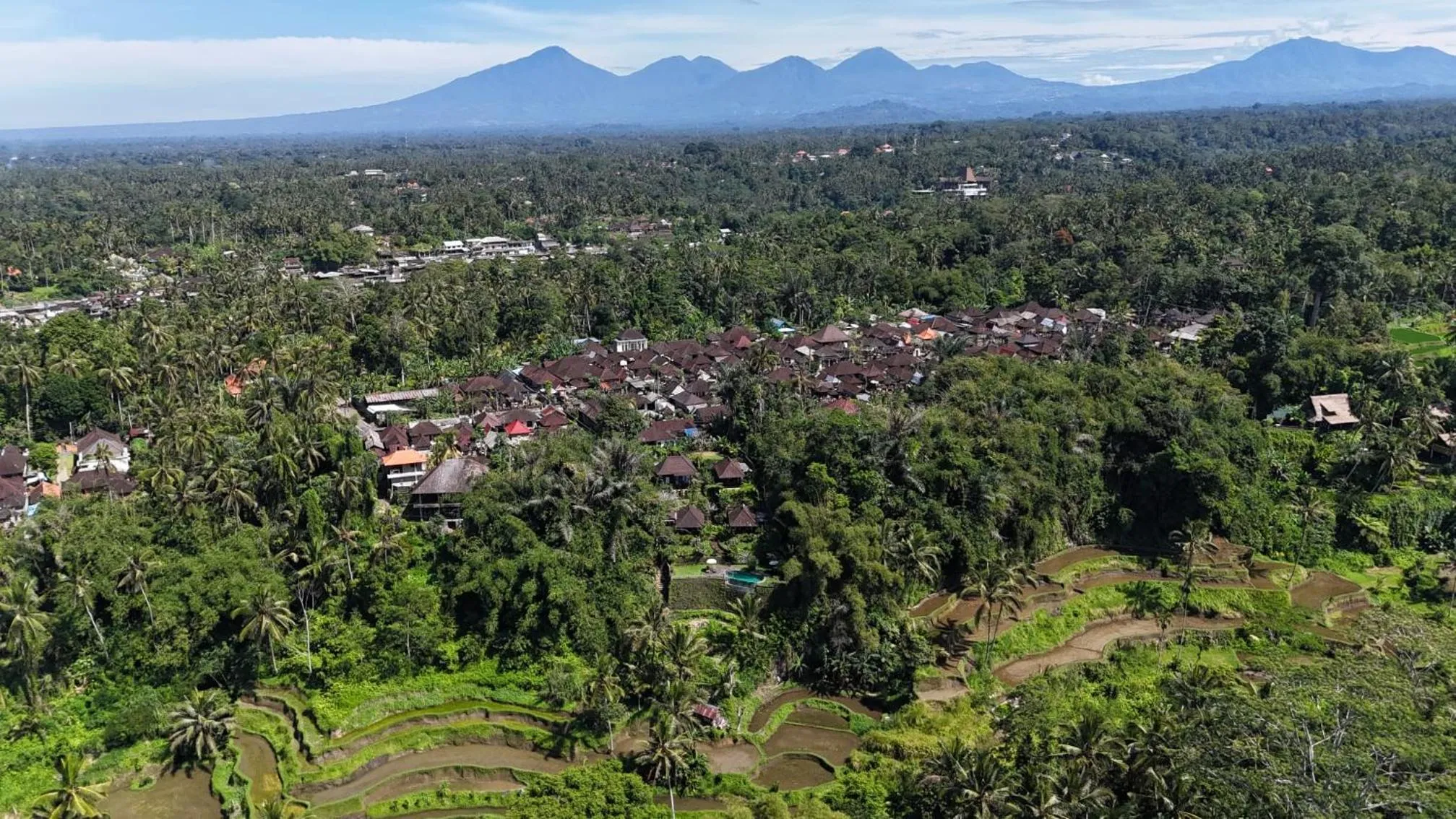 Natural landscape in Villa Wedang