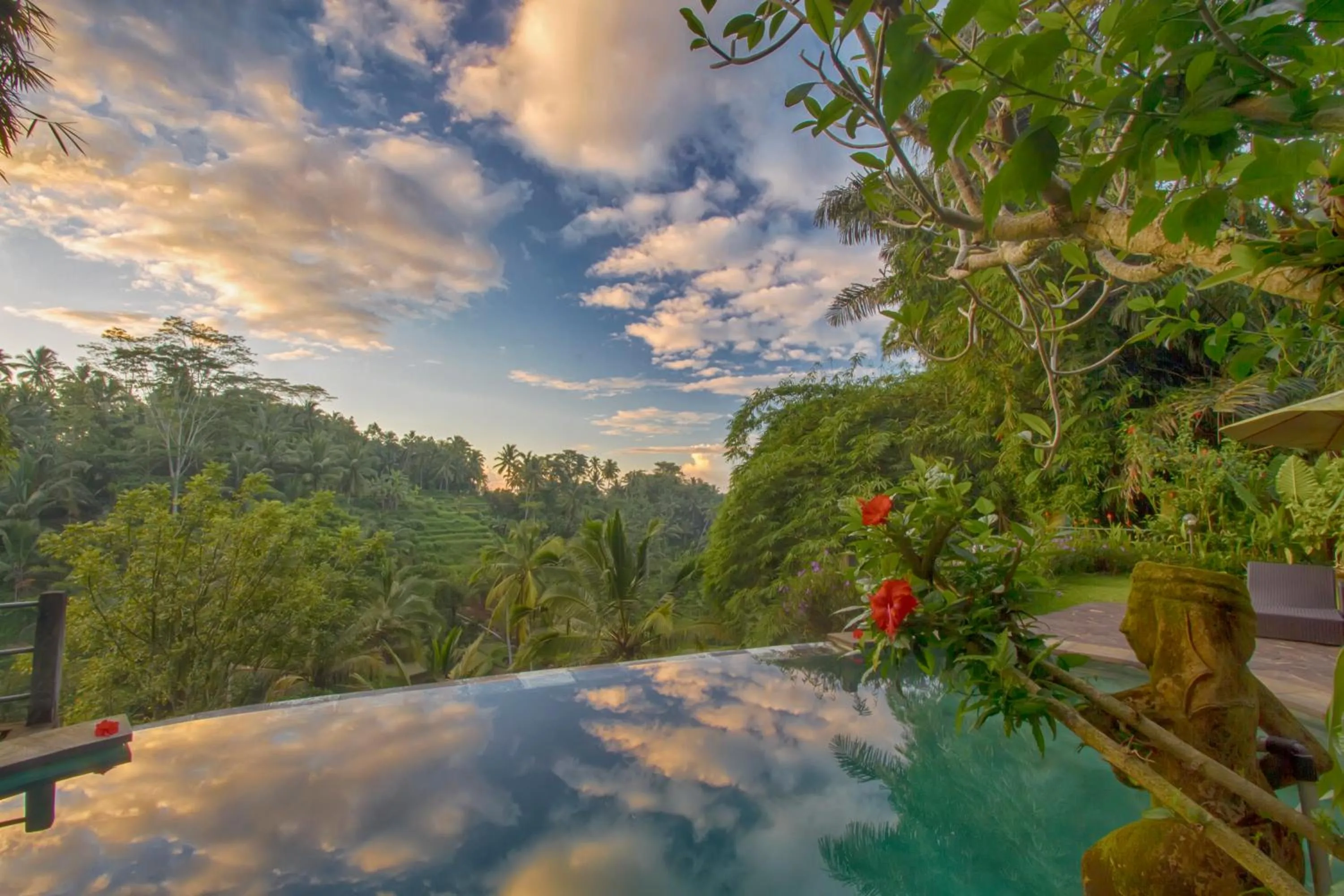 Pool view in Villa Wedang