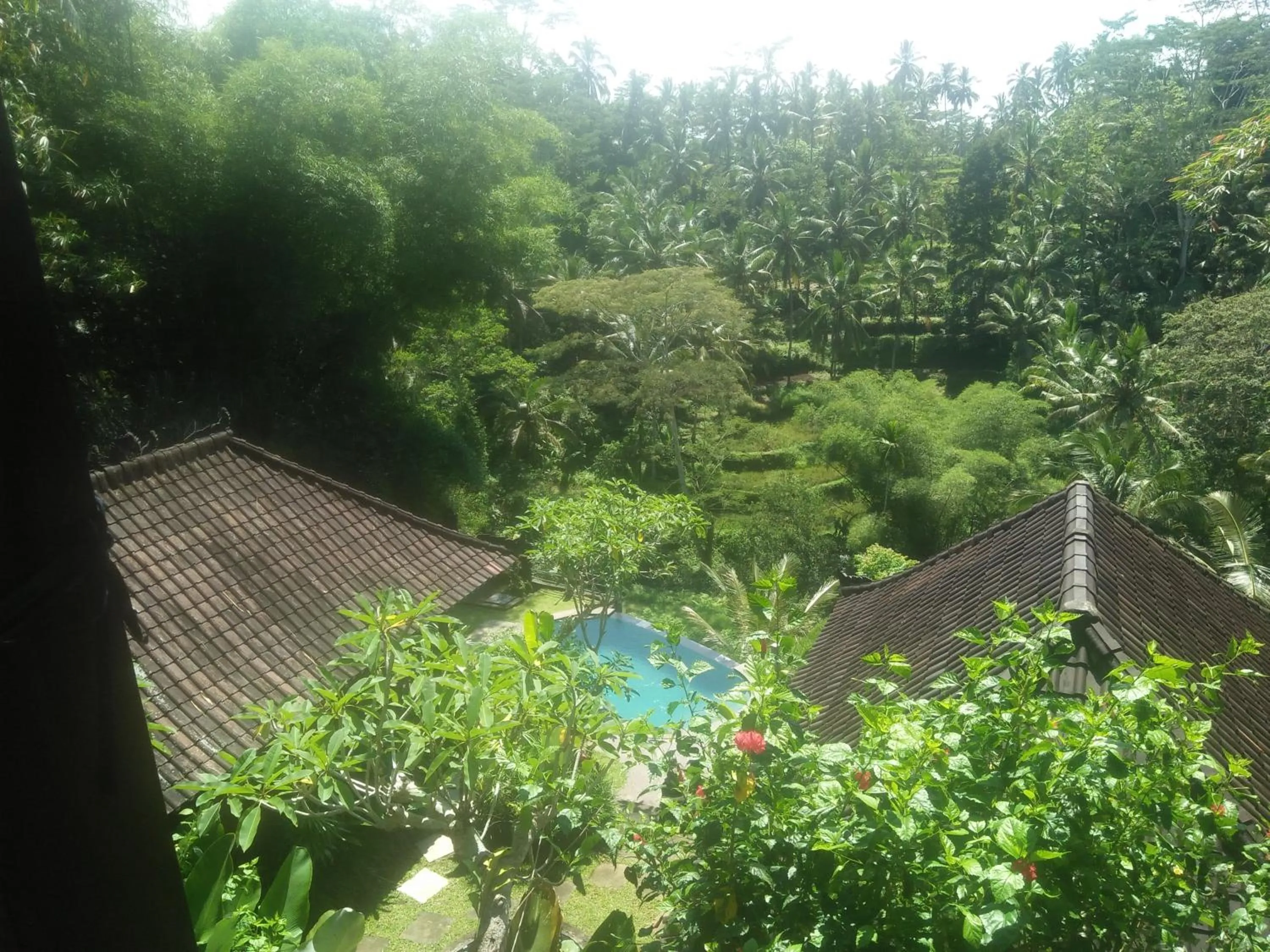 View (from property/room) in Villa Wedang