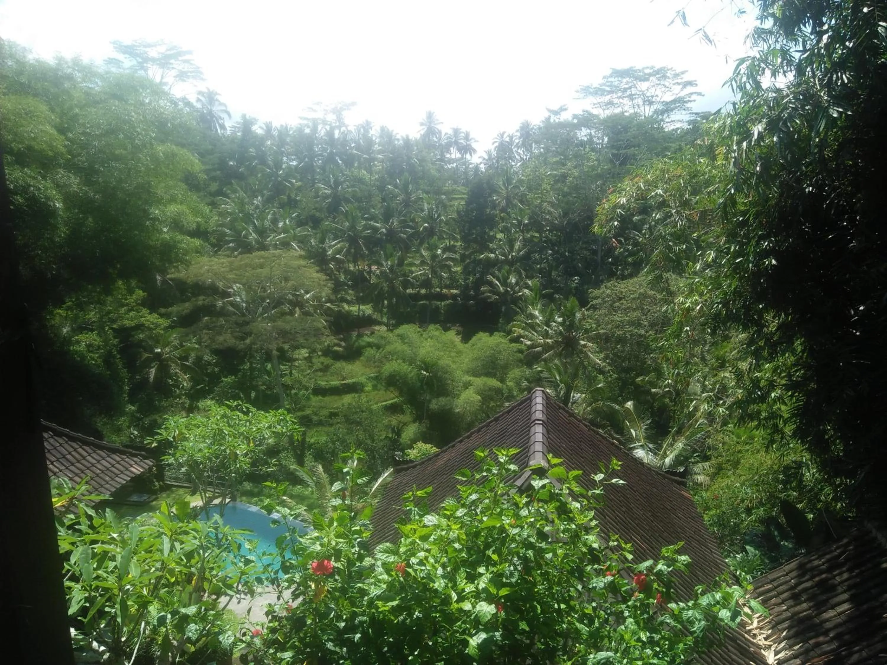 Natural landscape in Villa Wedang