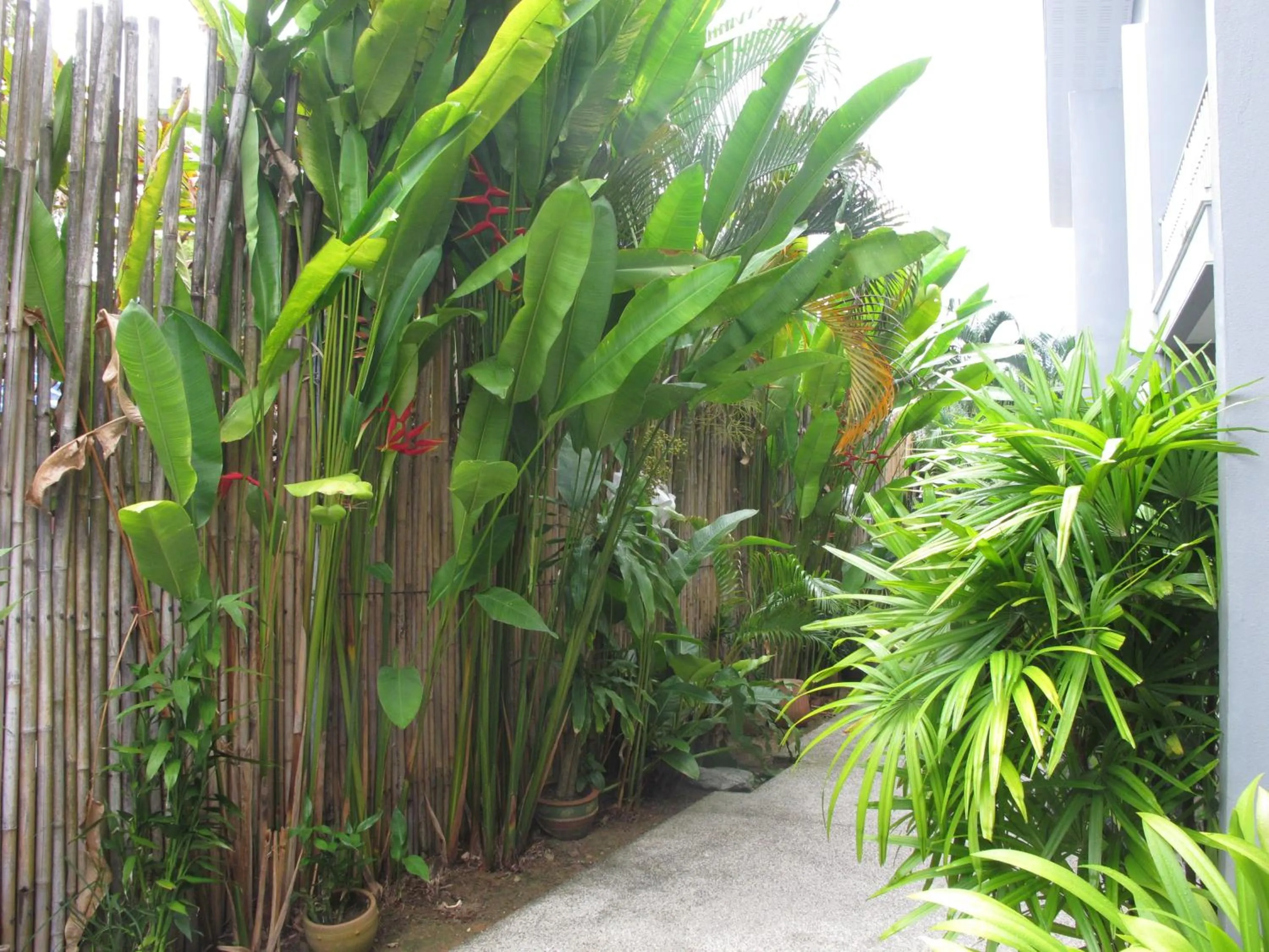 MJ Boutique Hotel Khao Lak