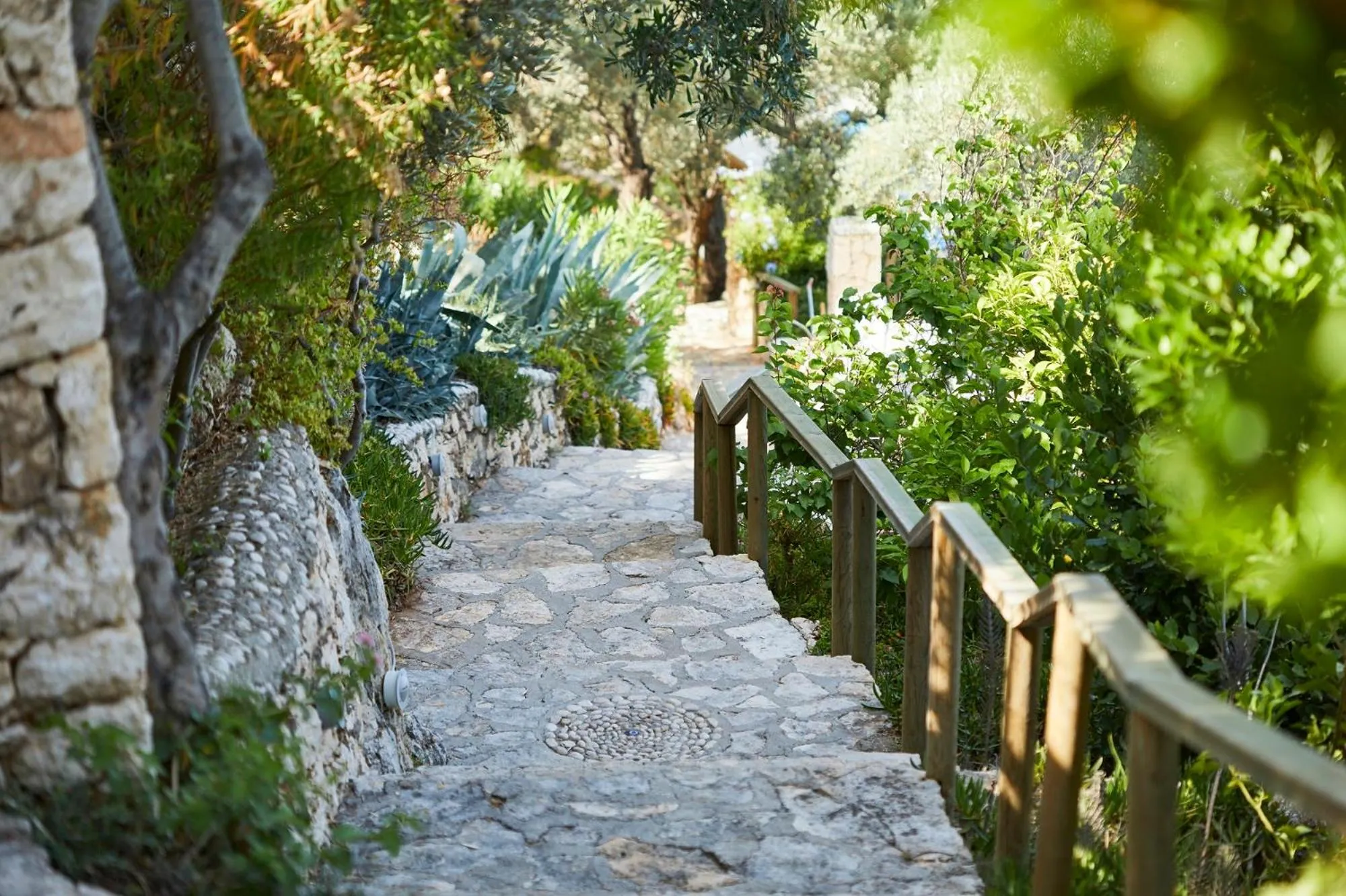 Garden in Hotel Villa Mahal