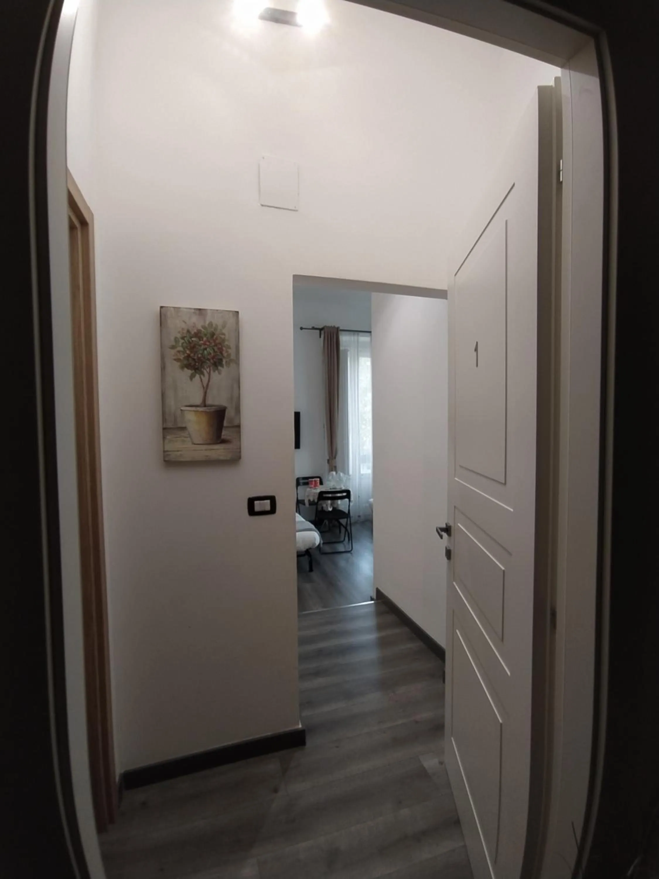 Photo of the whole room in Domus Nikolai