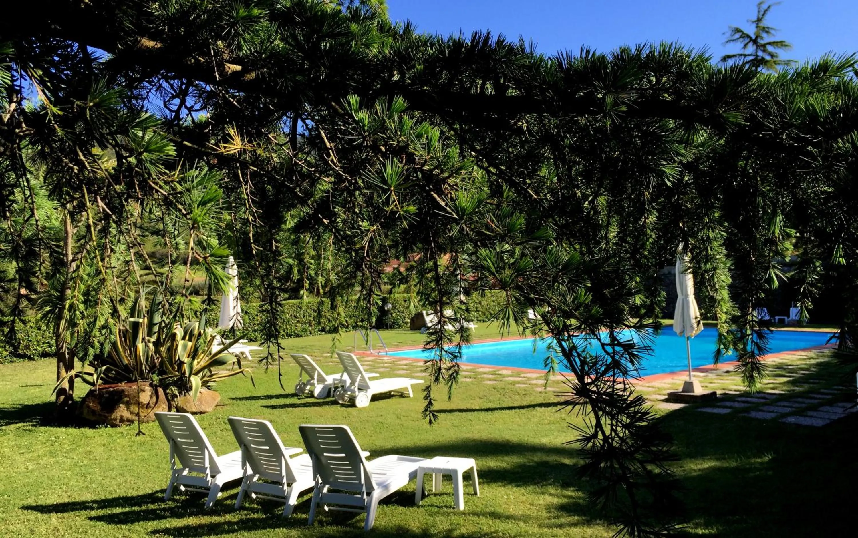 Garden in Hotel Il Caminetto