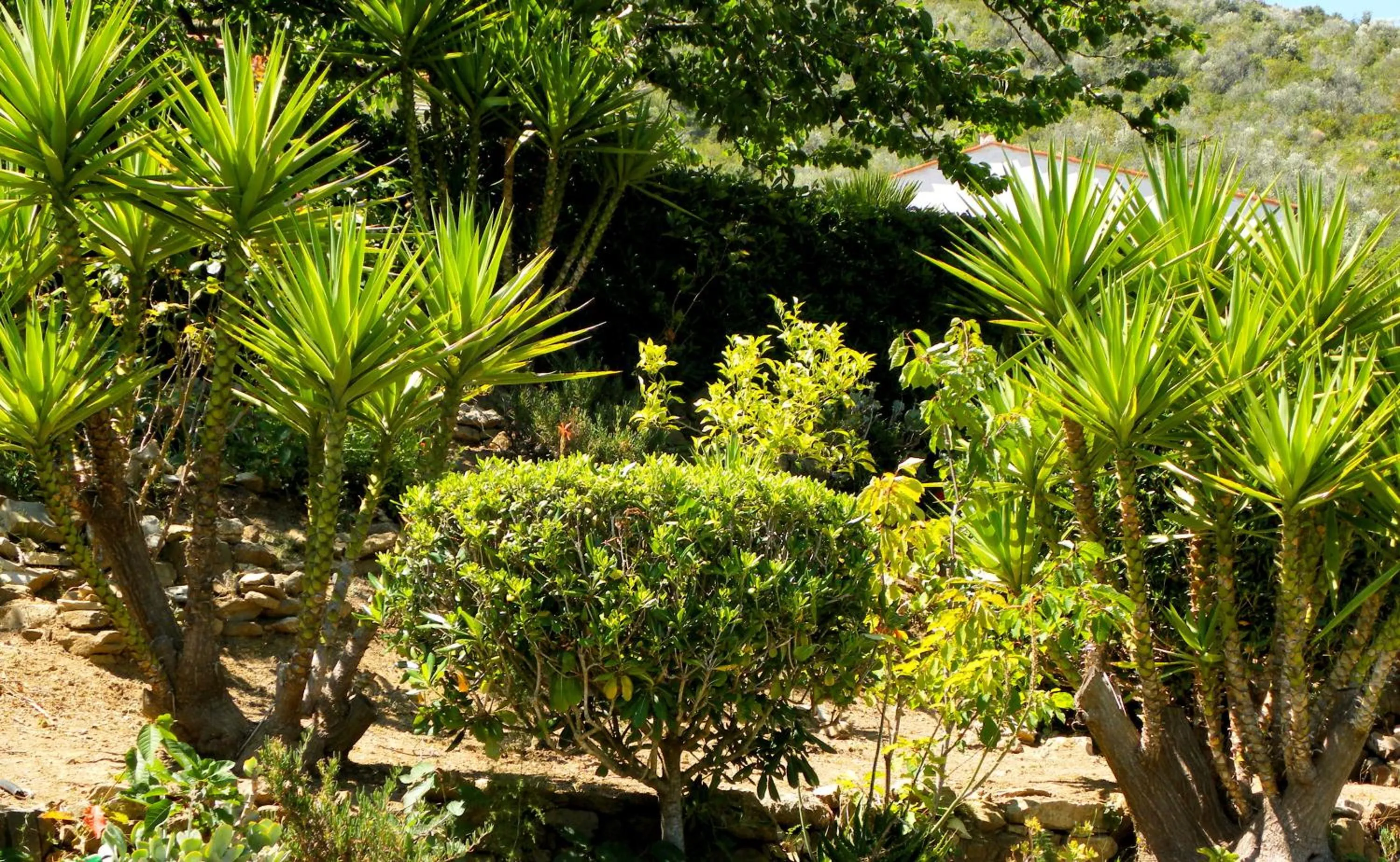 Garden in Hotel Il Caminetto