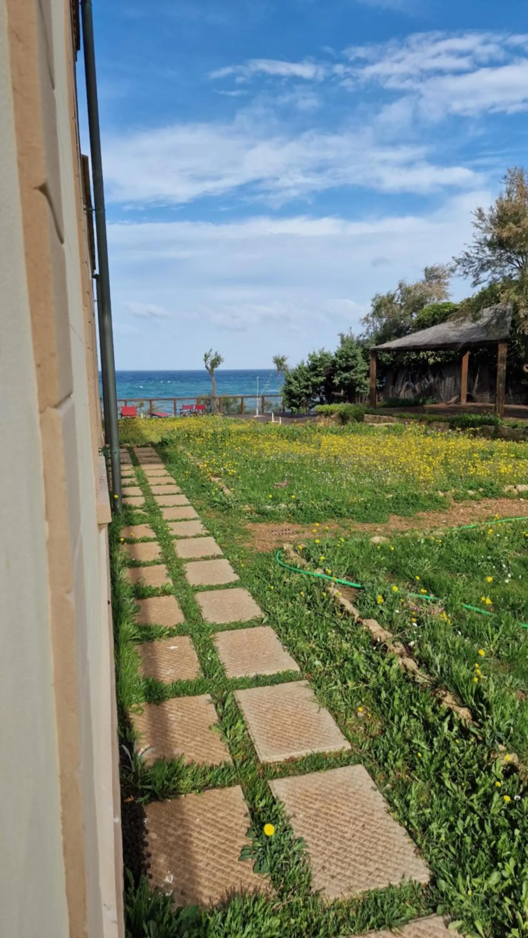 View (from property/room) in Cala Dei Mori