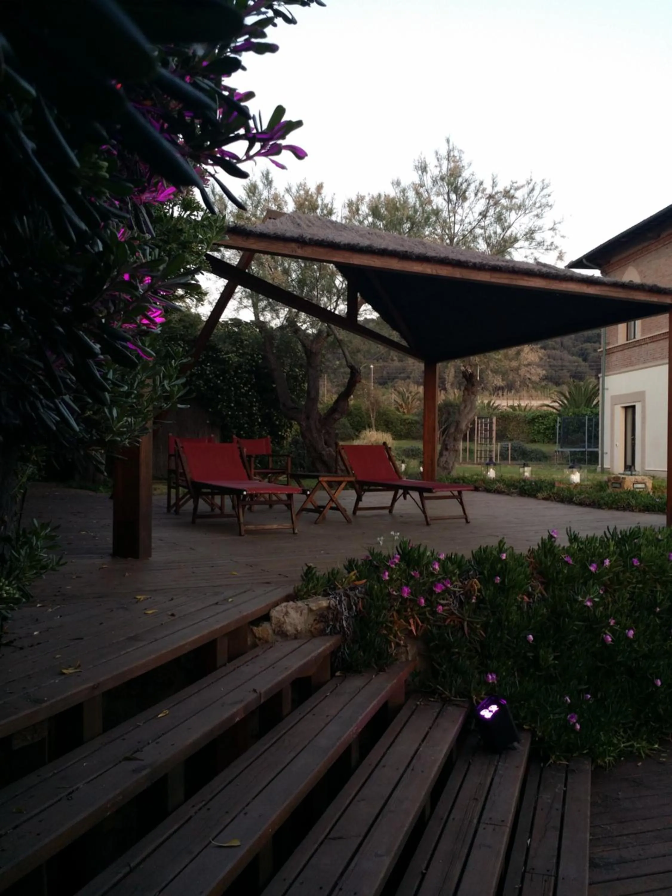 Garden in Cala Dei Mori