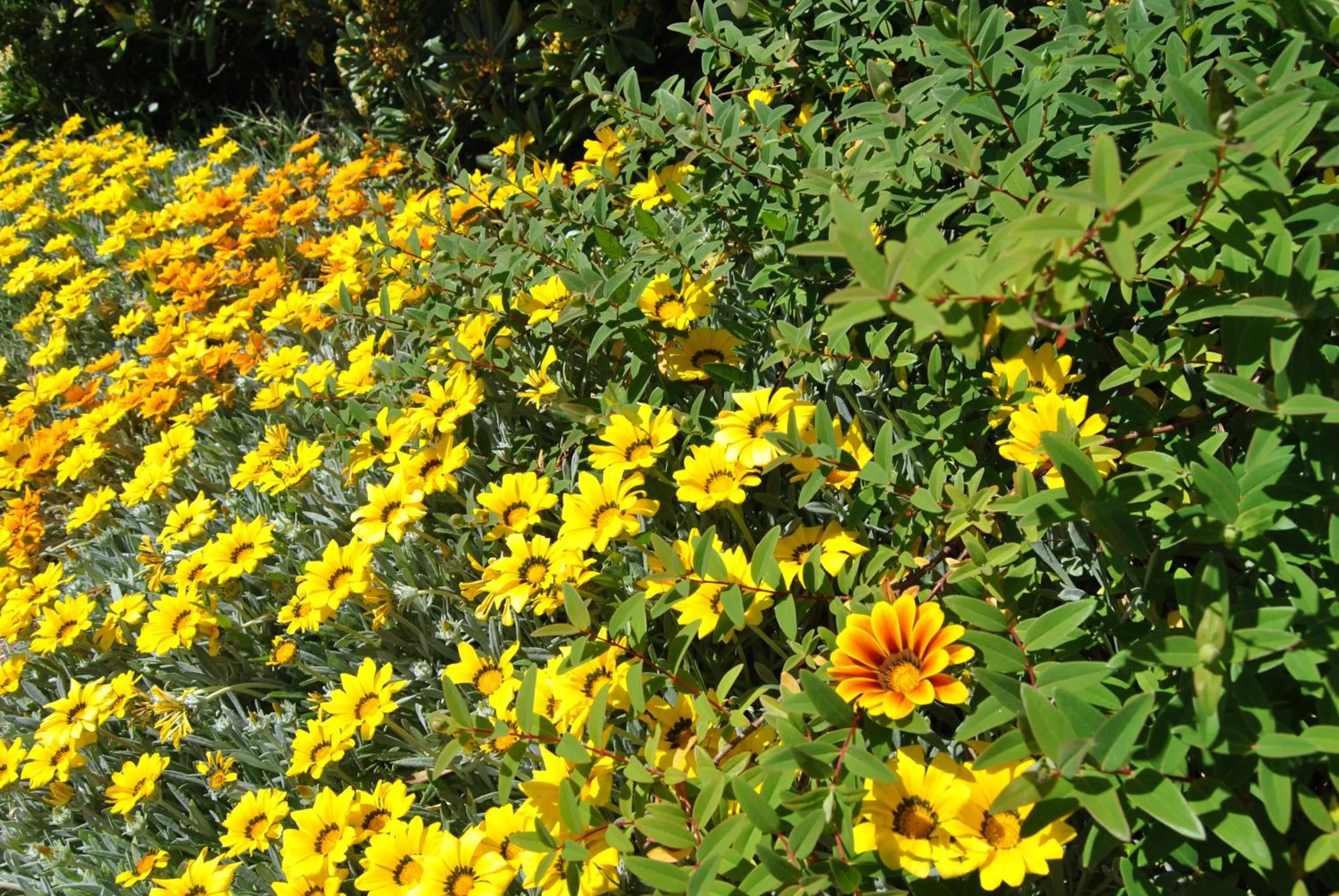 On site in Cala Dei Mori