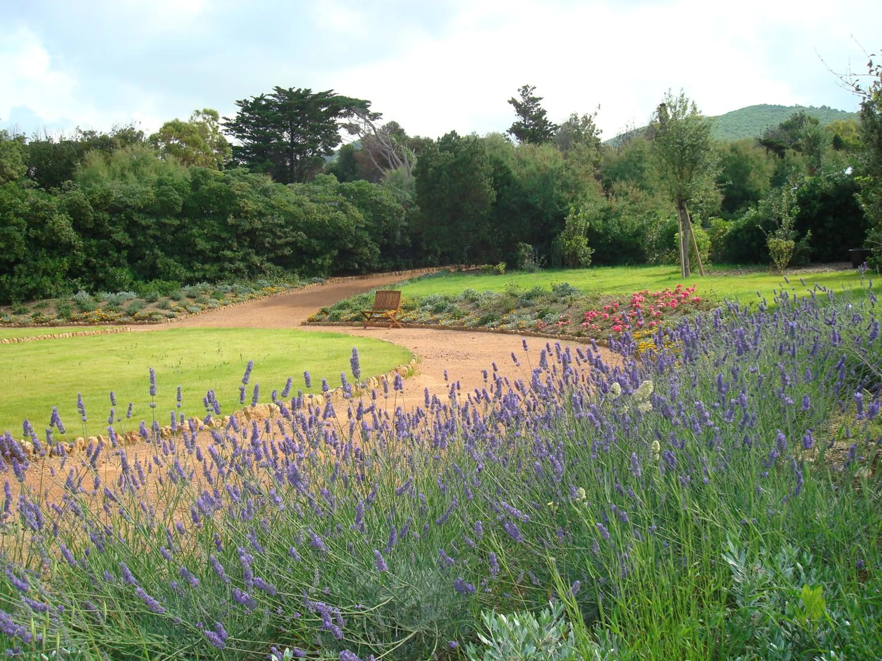 Day in Cala Dei Mori
