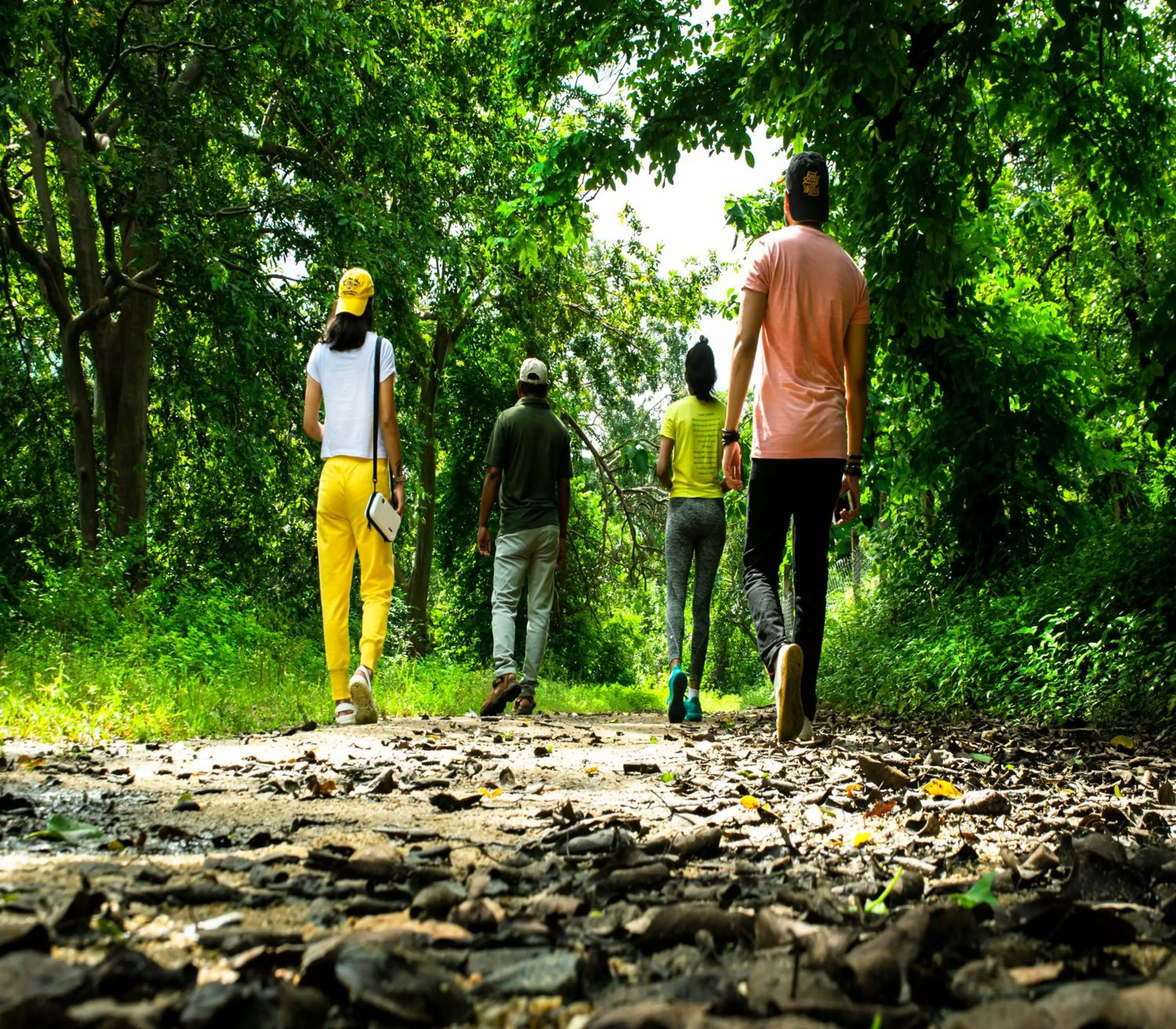 Activities in Olive Resort & Villas