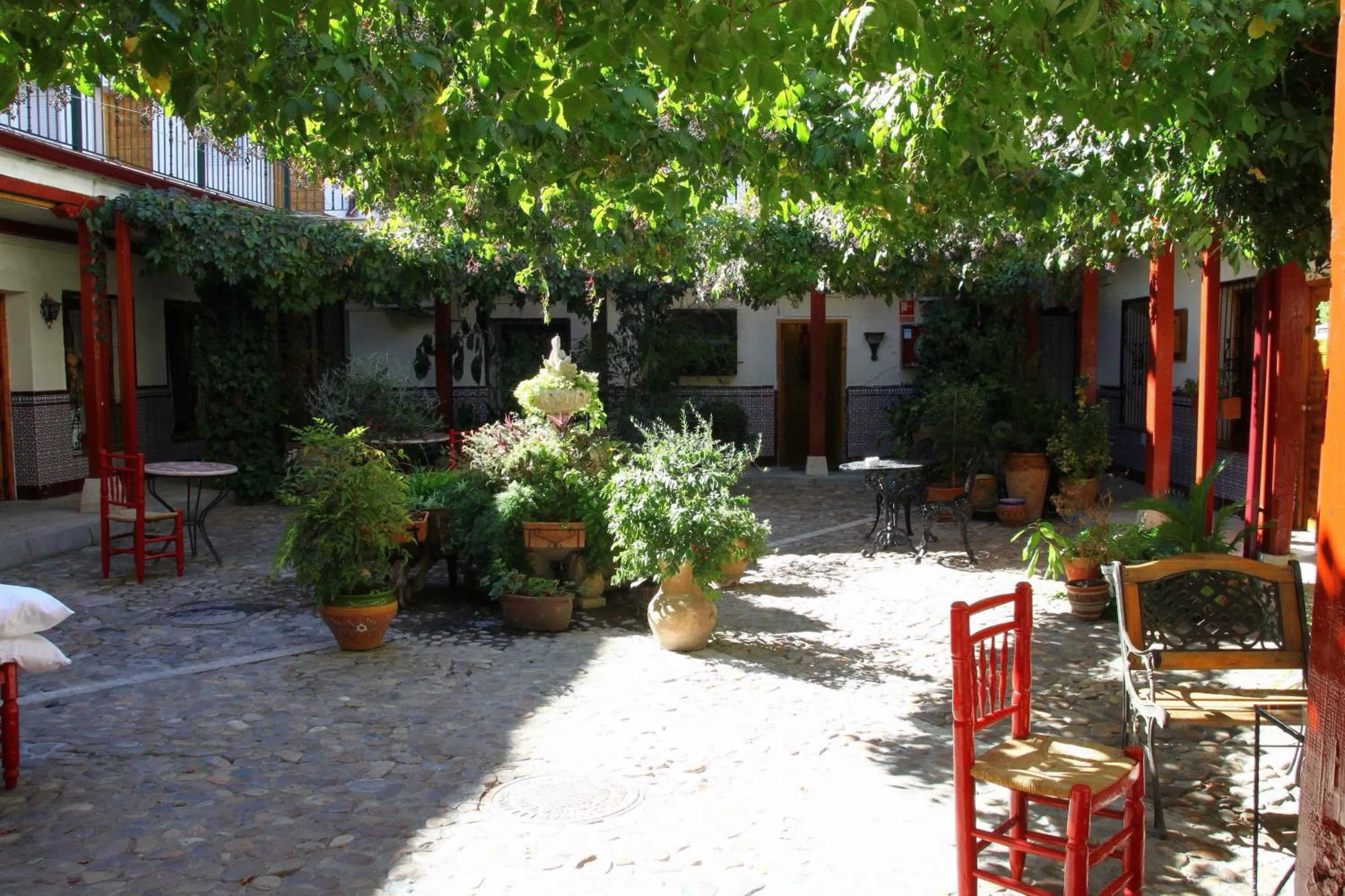 Garden in Hostal Castilla