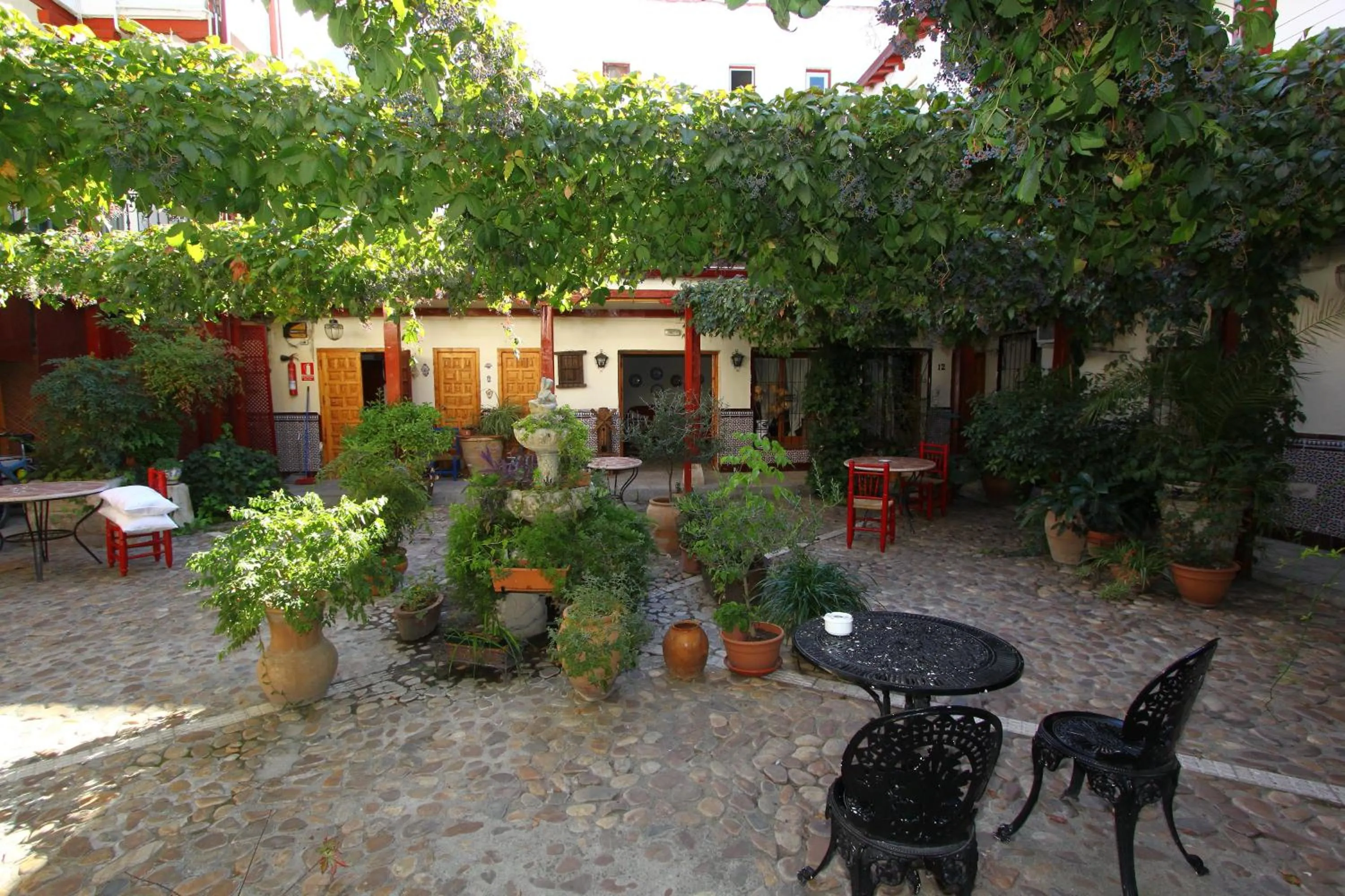 Garden in Hostal Castilla