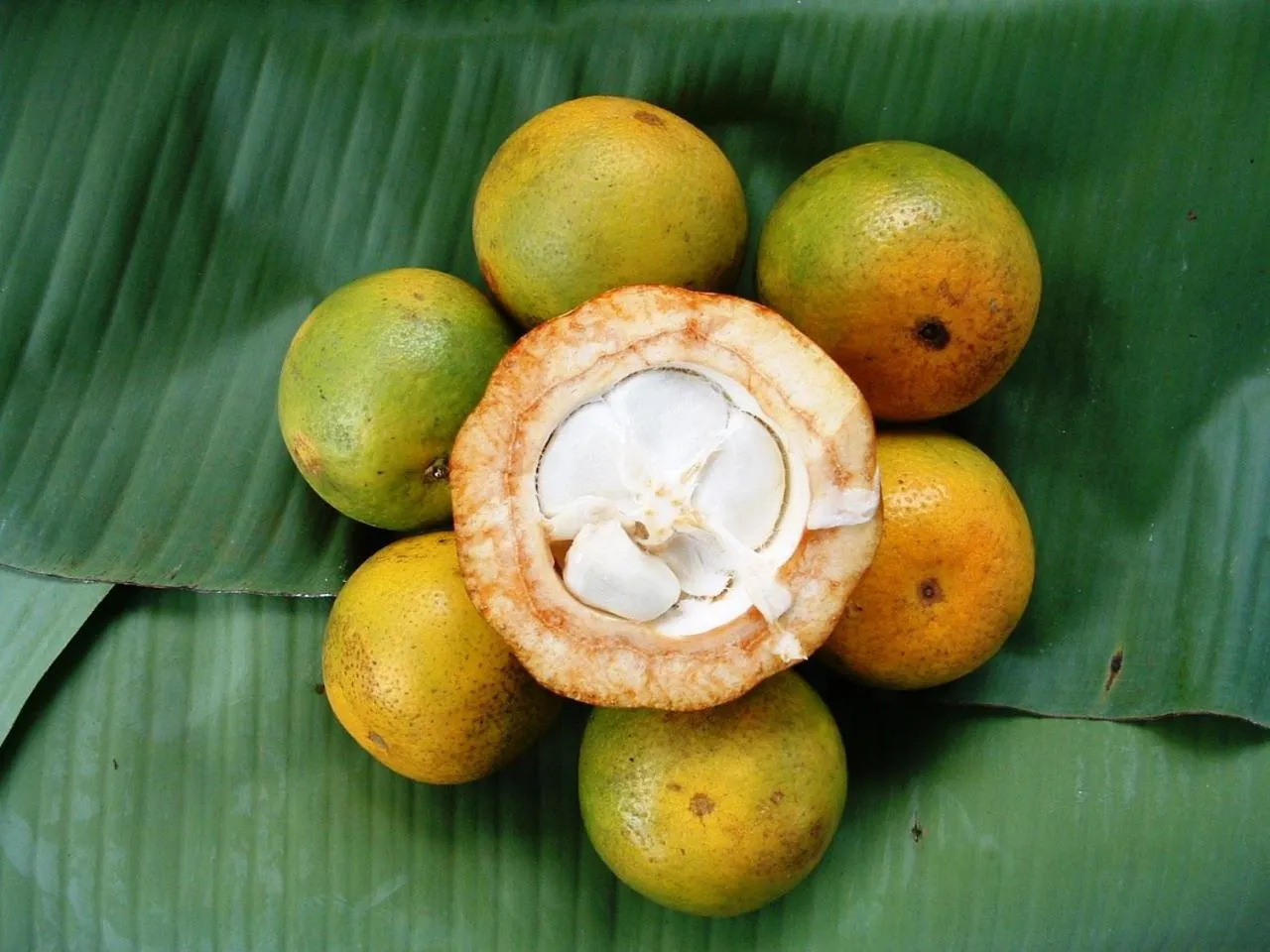 On site in Princess Salme Inn