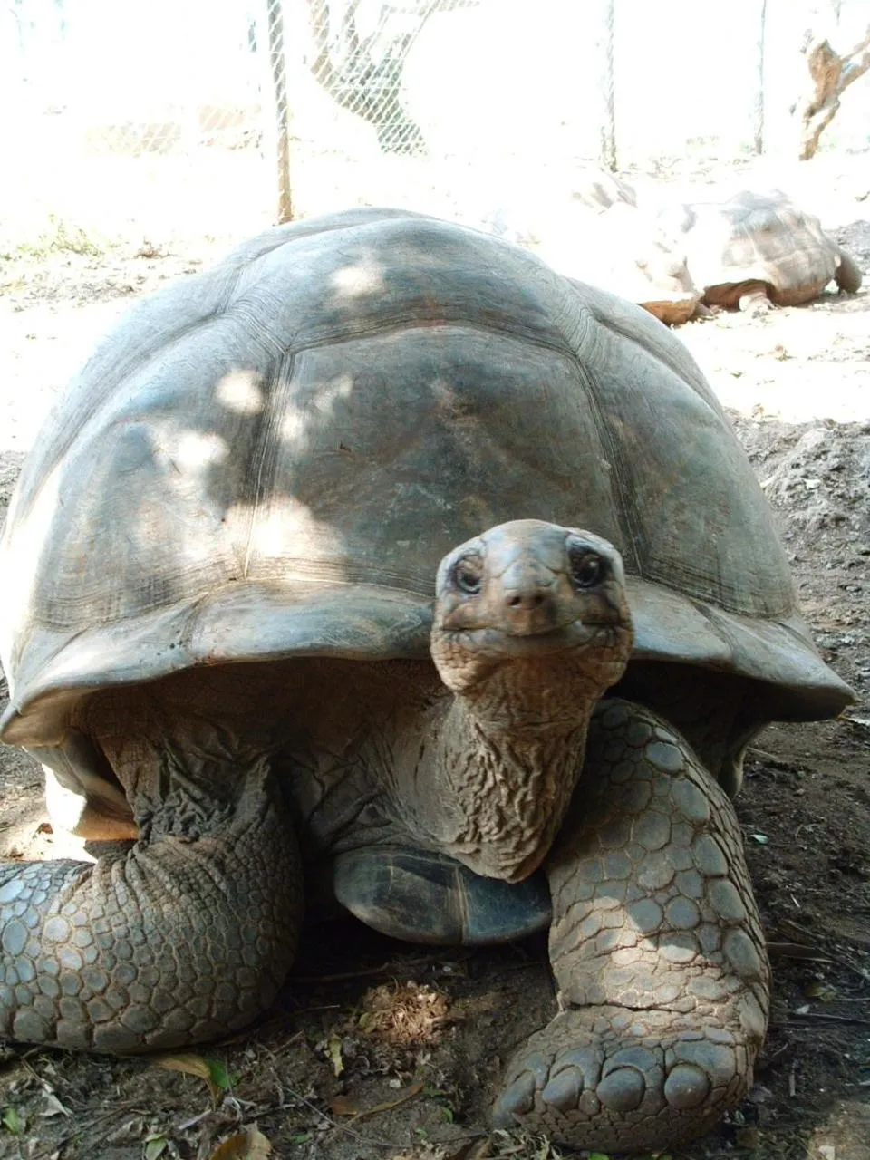 Day in Princess Salme Inn