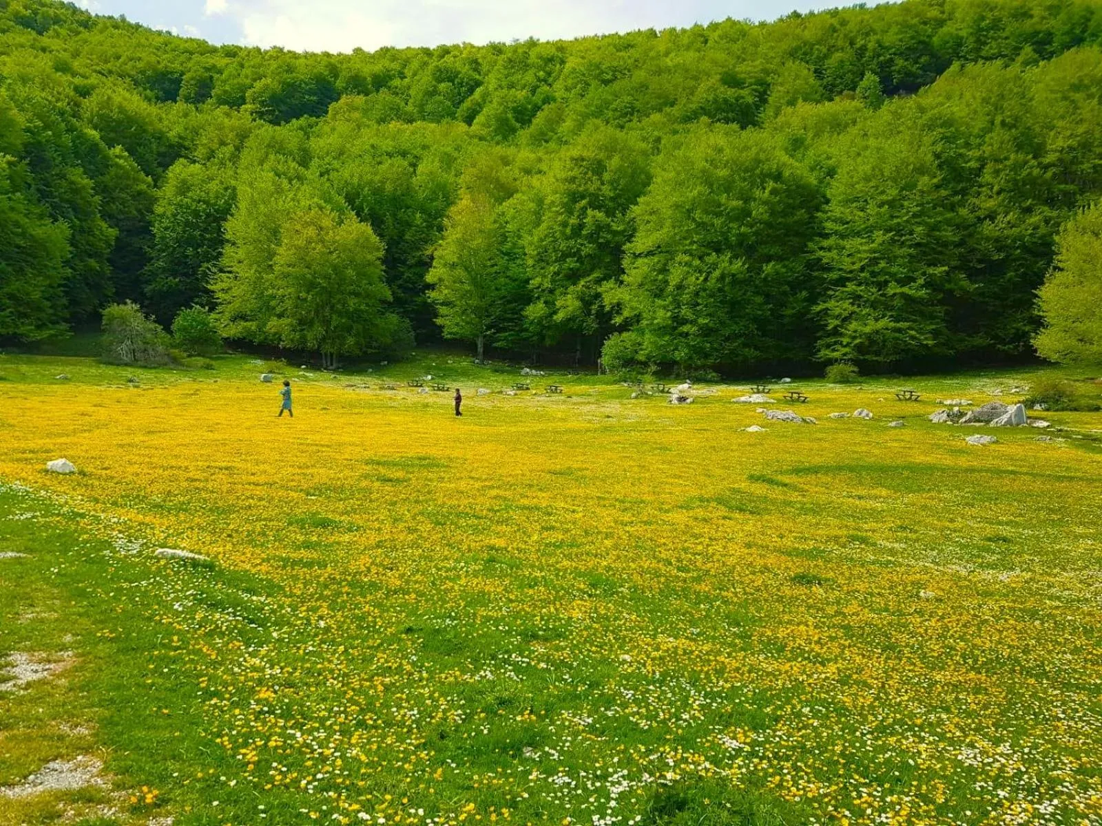 Natural landscape in B&B Gocciaverde