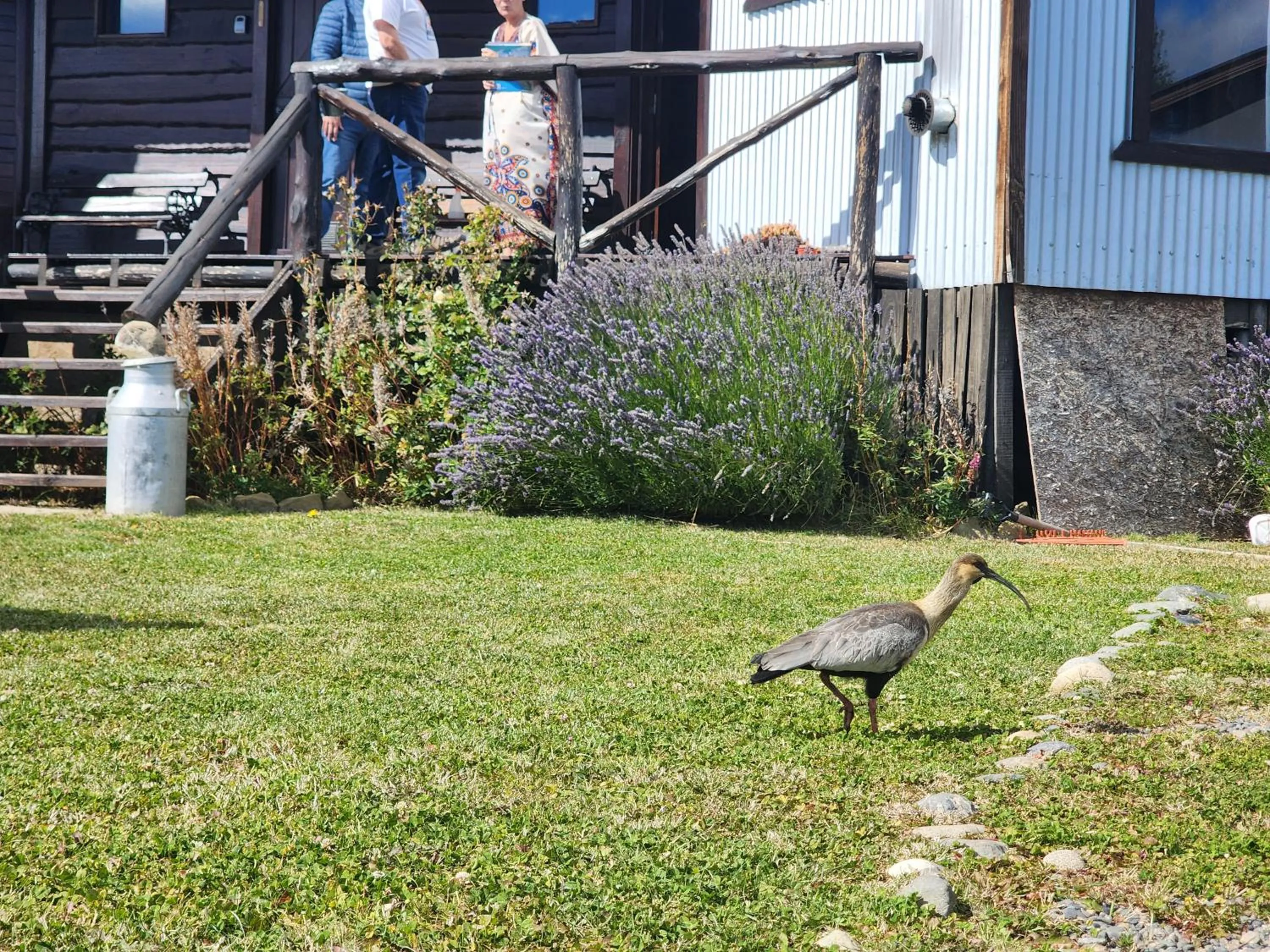 Garden in Cabañas Alechen