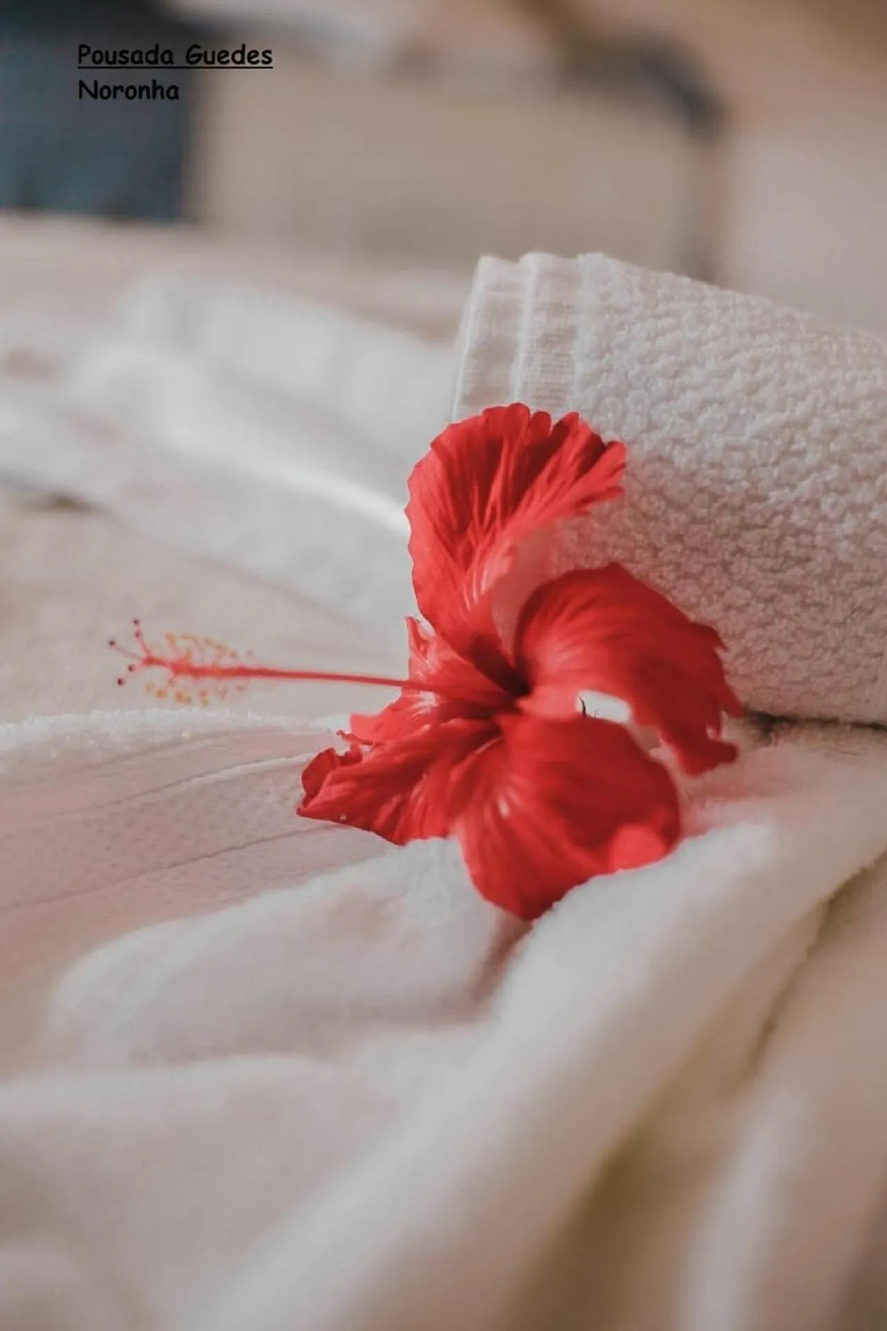 Decorative detail, Bed in Pousada Guedes Noronha