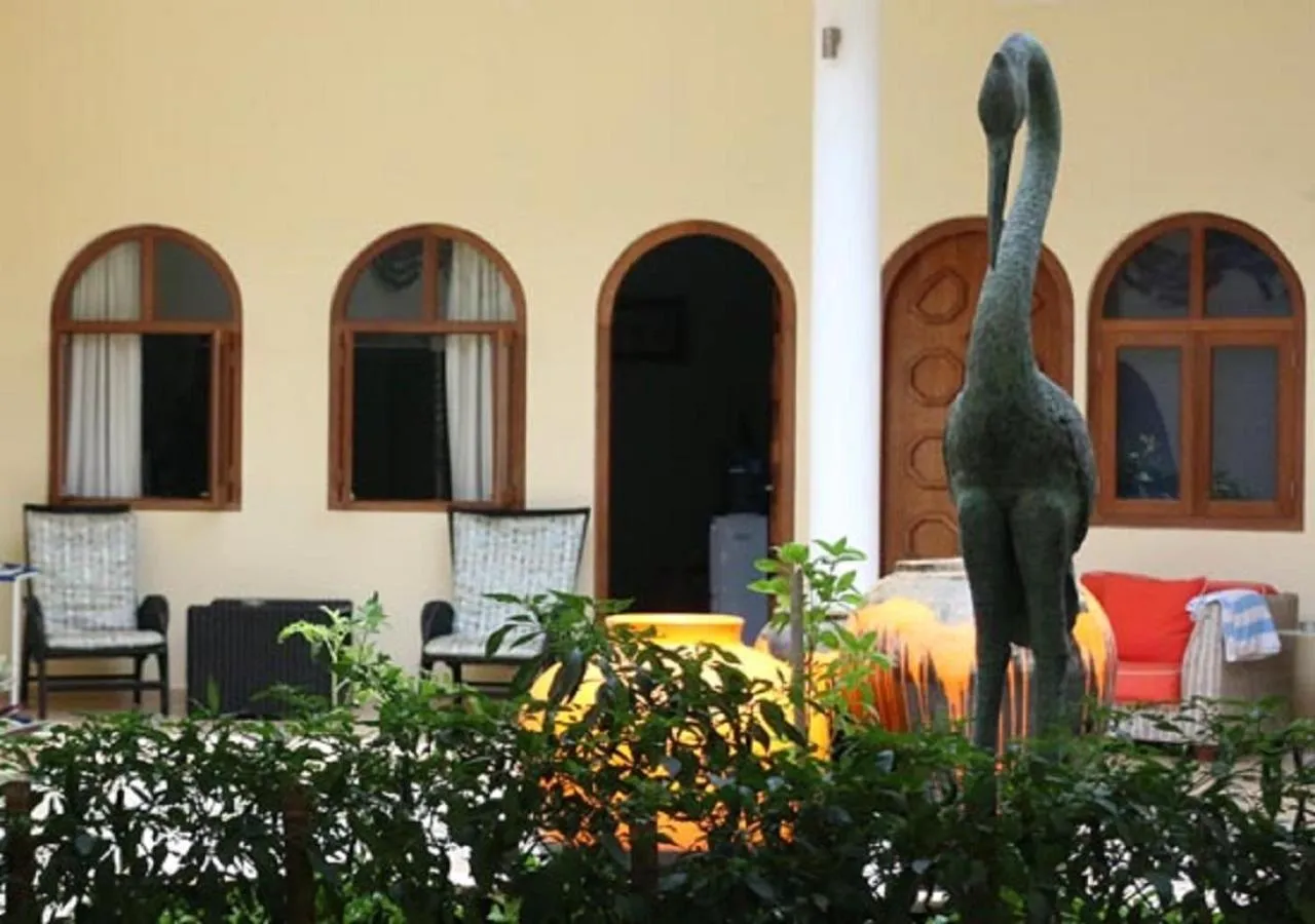 Garden in Villa Costa Plenty